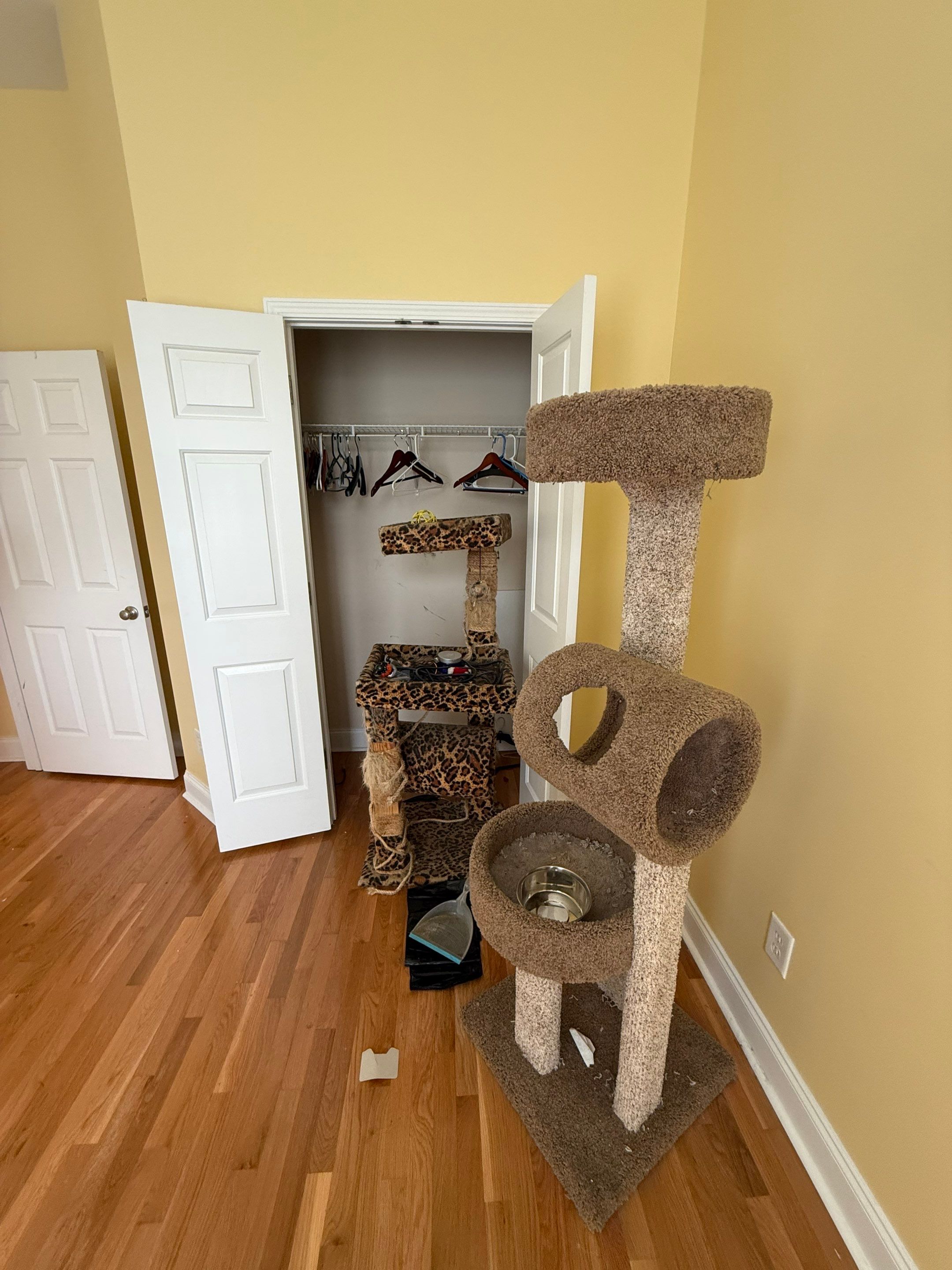 Project in Mint Hill by Badger Hauling