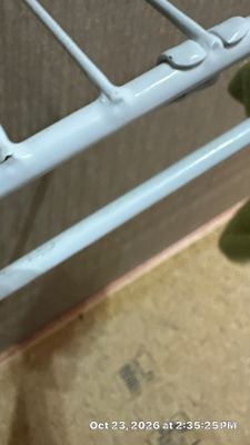 Ceiling Leak Repair — Naples, FL