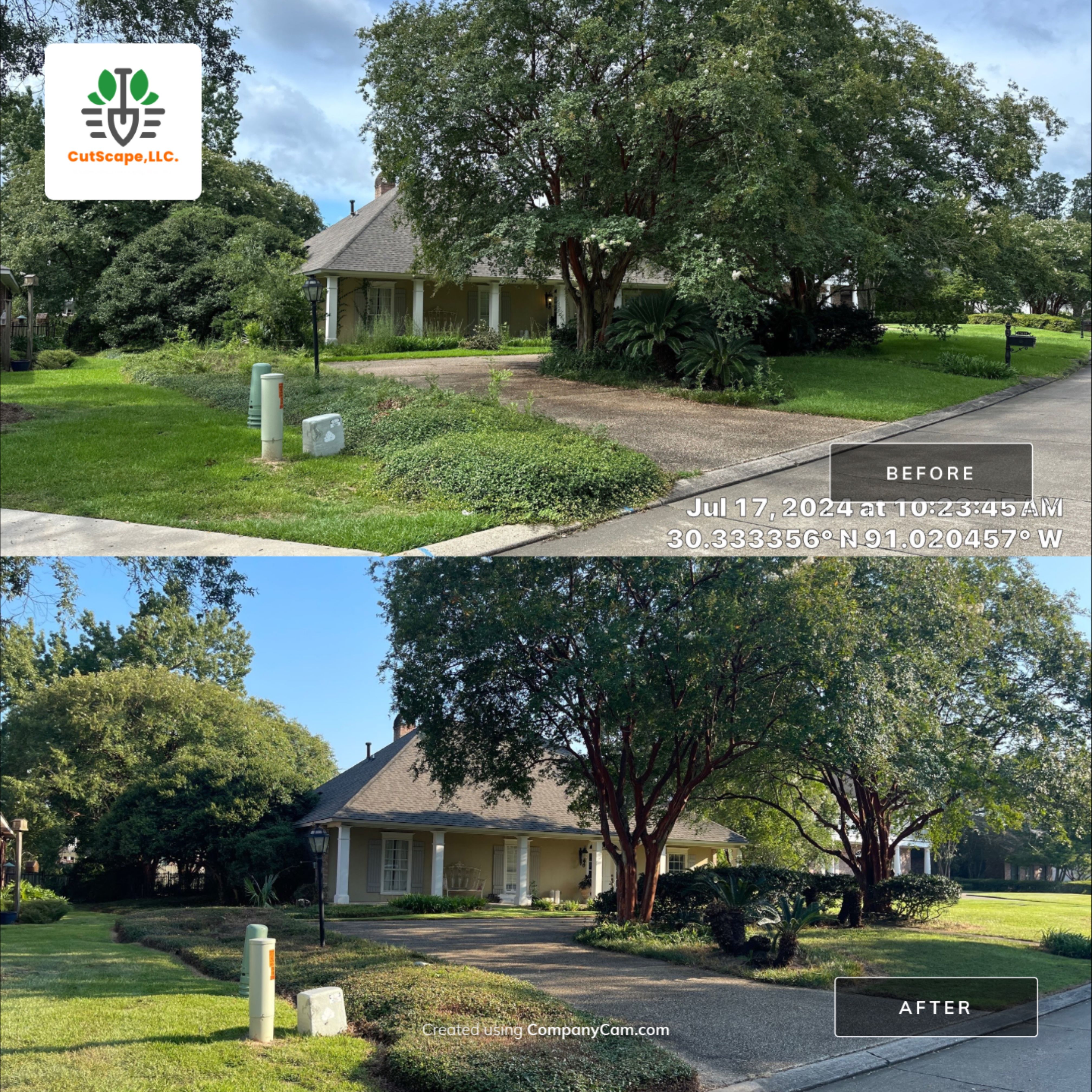 HERBICIDE / CLEAN OUT / TRIM / BRUSH DEBRIS REMOVAL by CutScape, LLC.