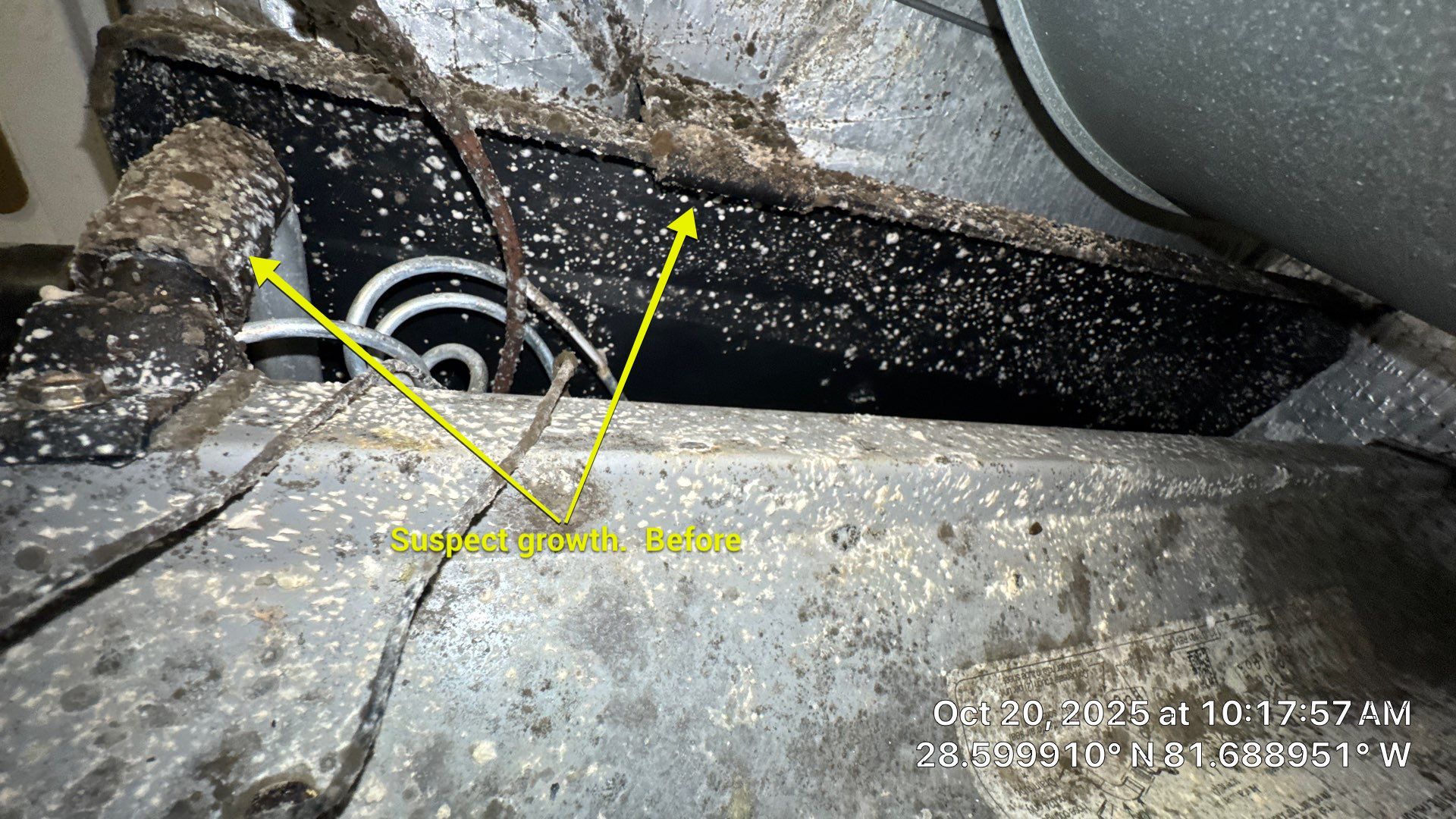 Air Duct Cleaning in Montverde by Hygienic Air, Inc