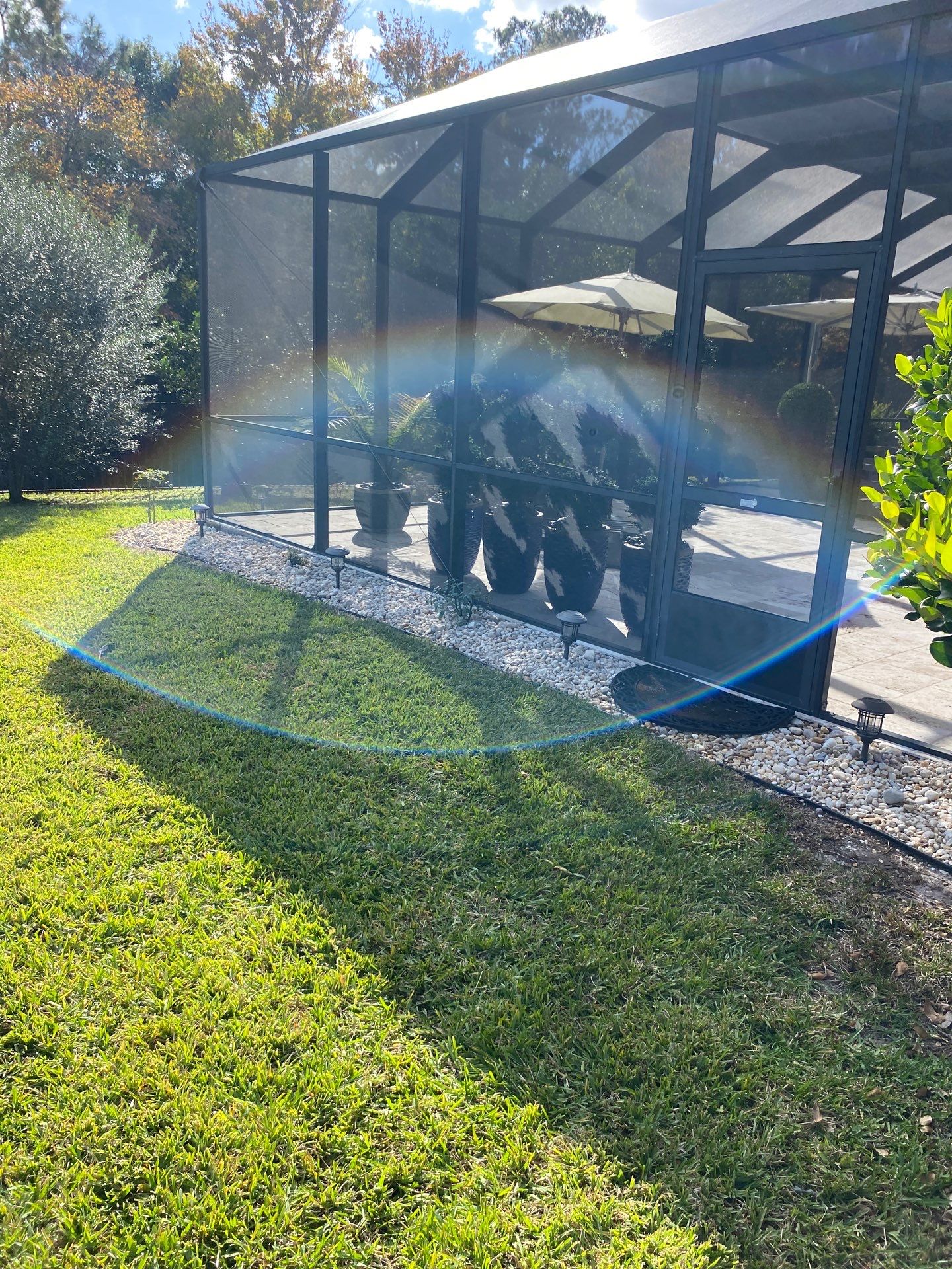 Deerwood Resident | Palm Trimming & Ground Cover by ProGreen Services