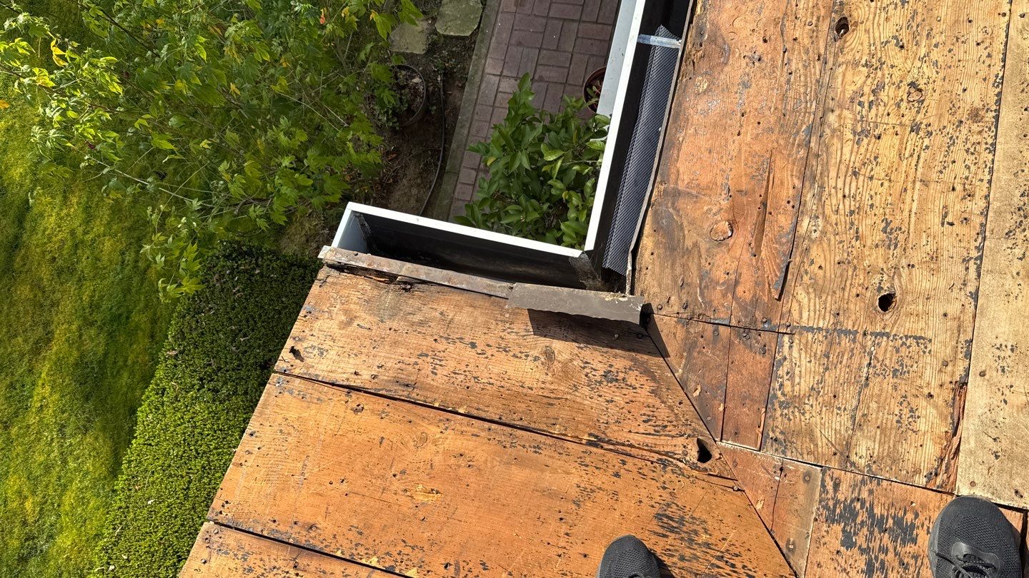 Willa Holmstock by NuLead Construction Inc