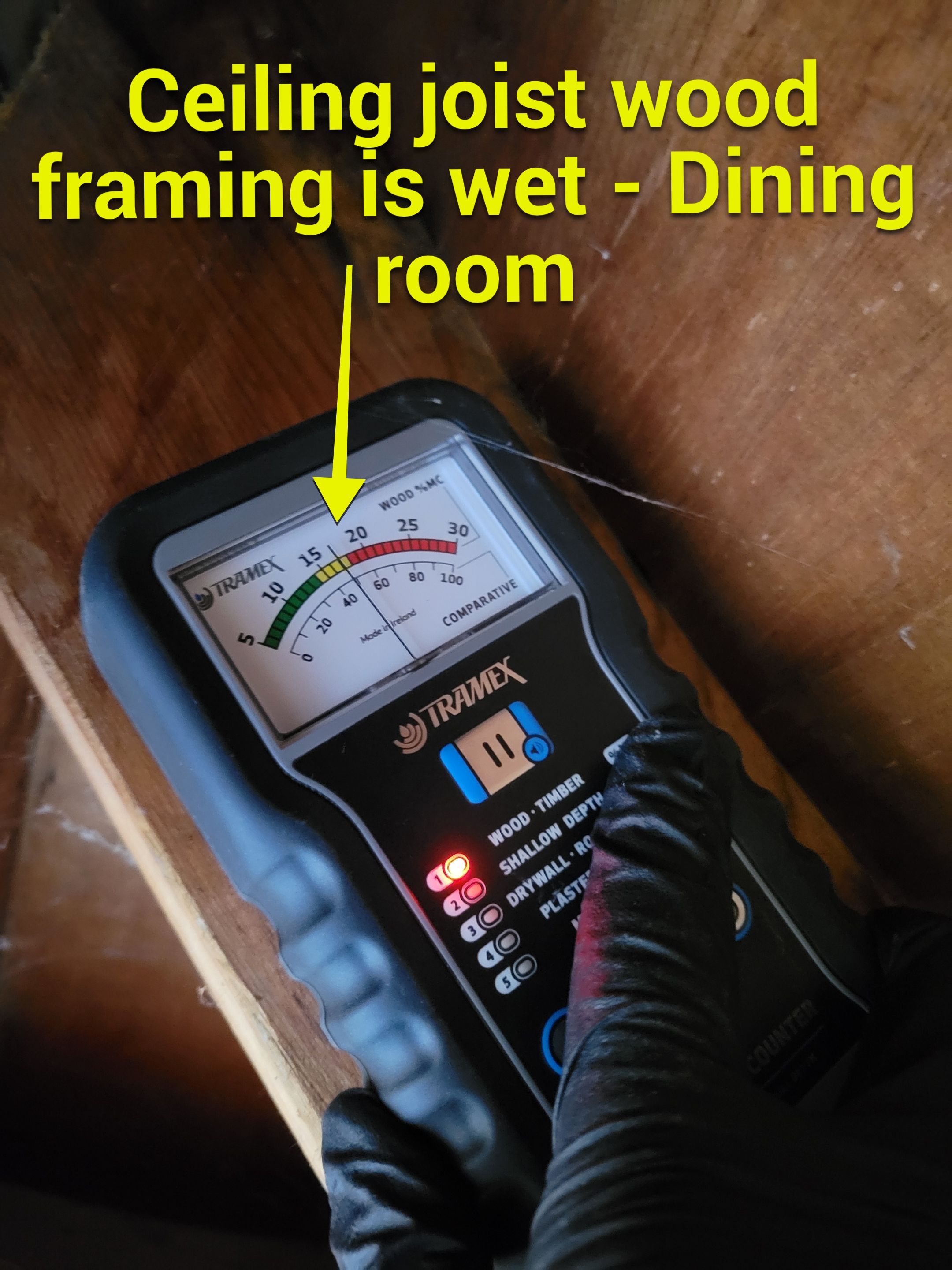 Multiple Roof Leaks by Chicagoland Water Medics