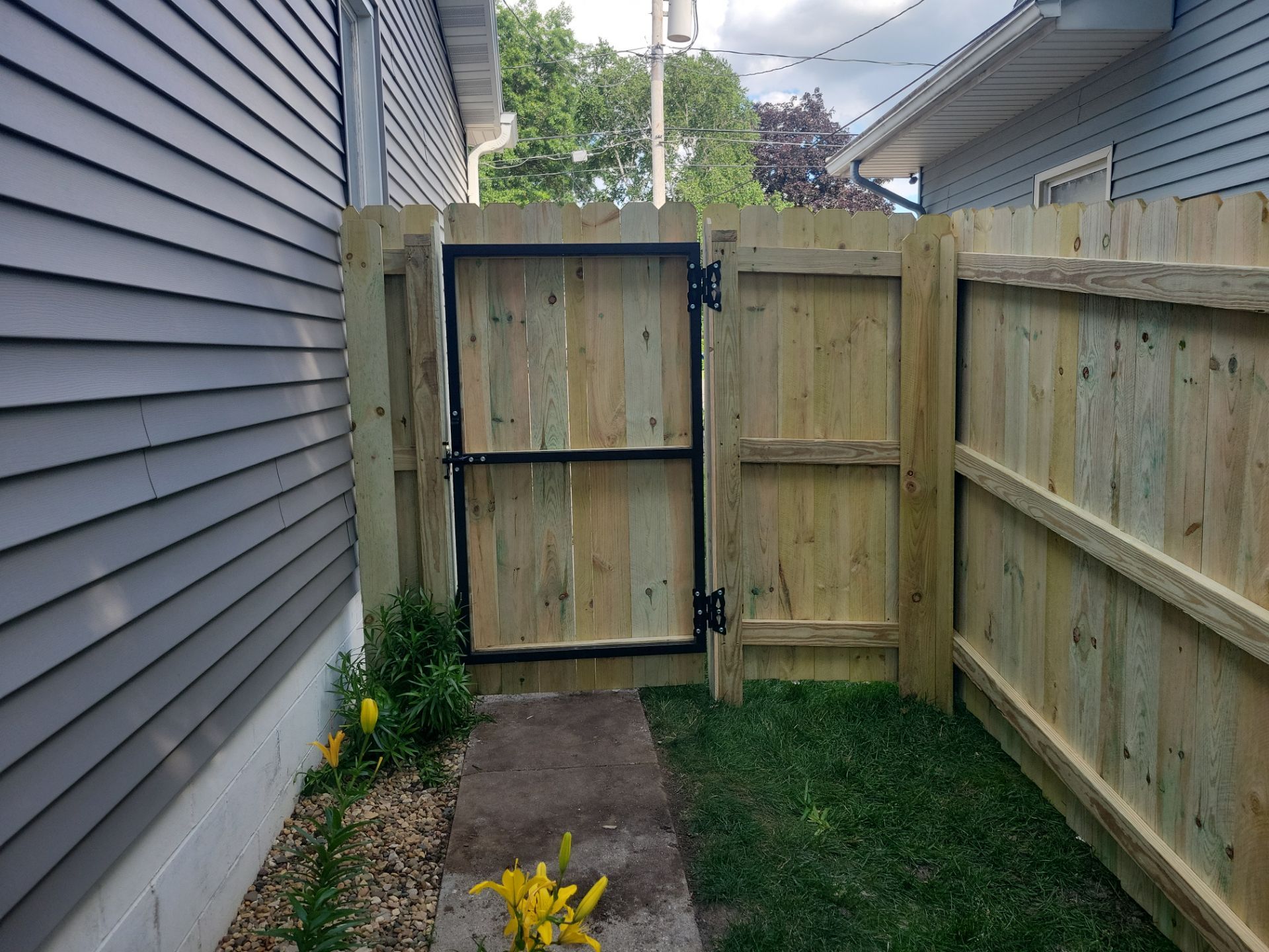 Pressure-Treated Pine Privacy Fence and Custom Gates in Waterloo by Perfect Picket Fence and Stain