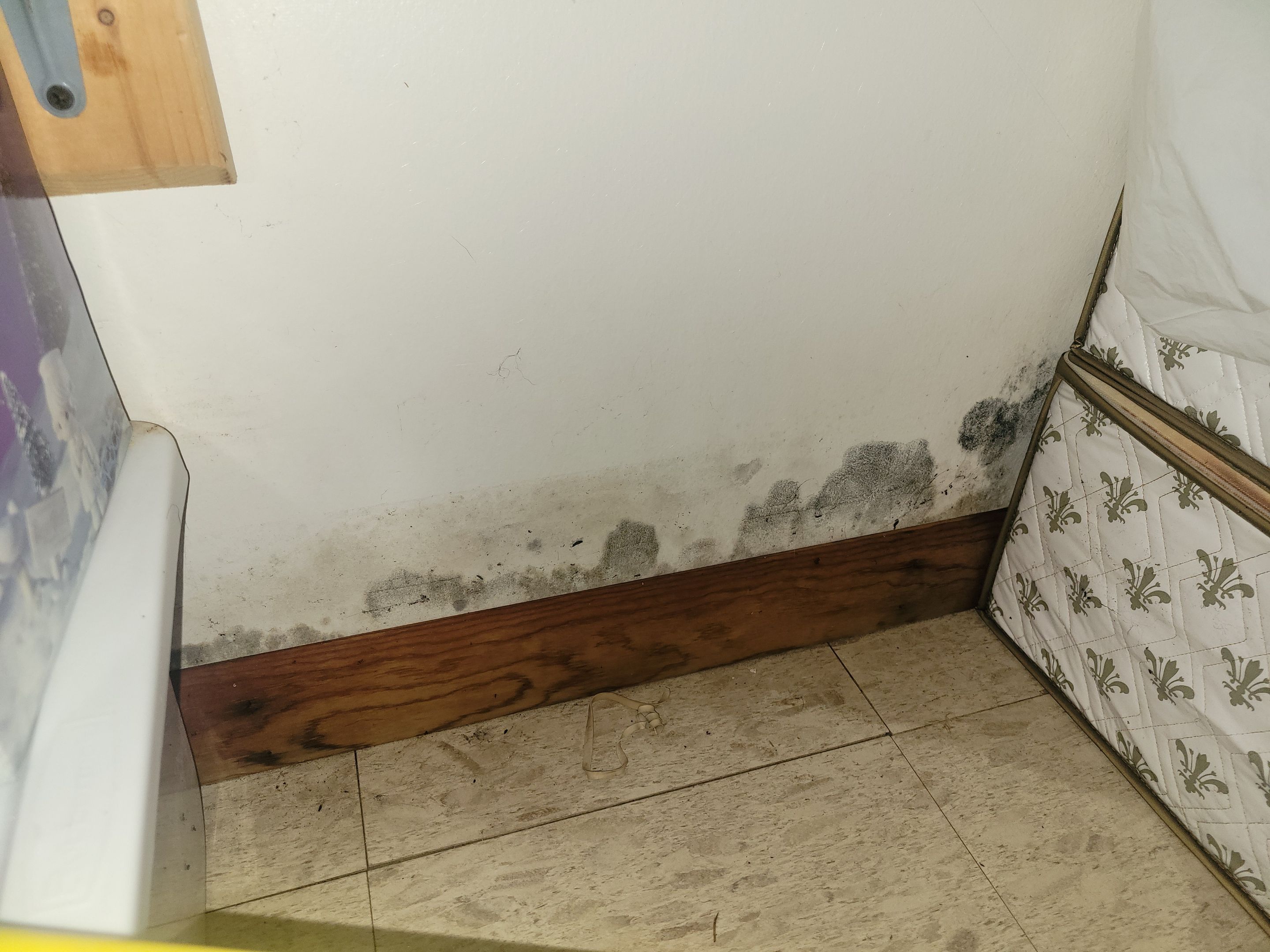 Drain Backup from a Storm by Chicagoland Water Medics