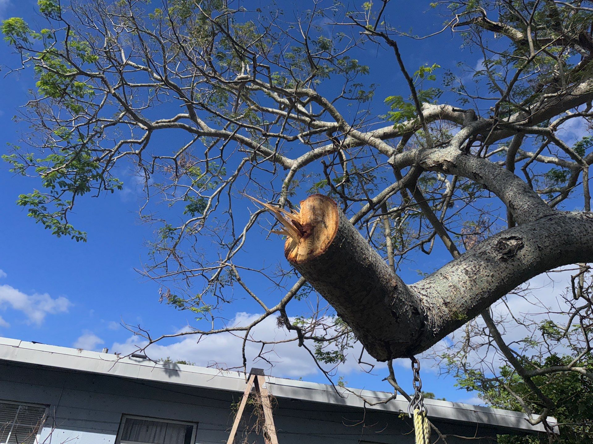 Water Damage Claim in Bradenton by FLAPA & KeyStone