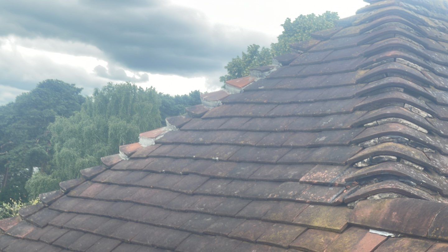 Roof Clean - Biocide Treatment using Honda 15lpm Low Pressure Washing Machine by Ges Exterior Cleaning ltd