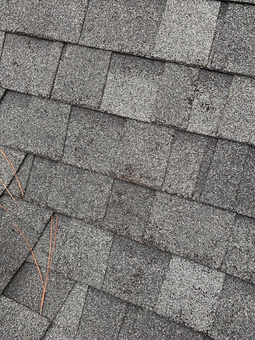 Re Roof by American Roofing NC