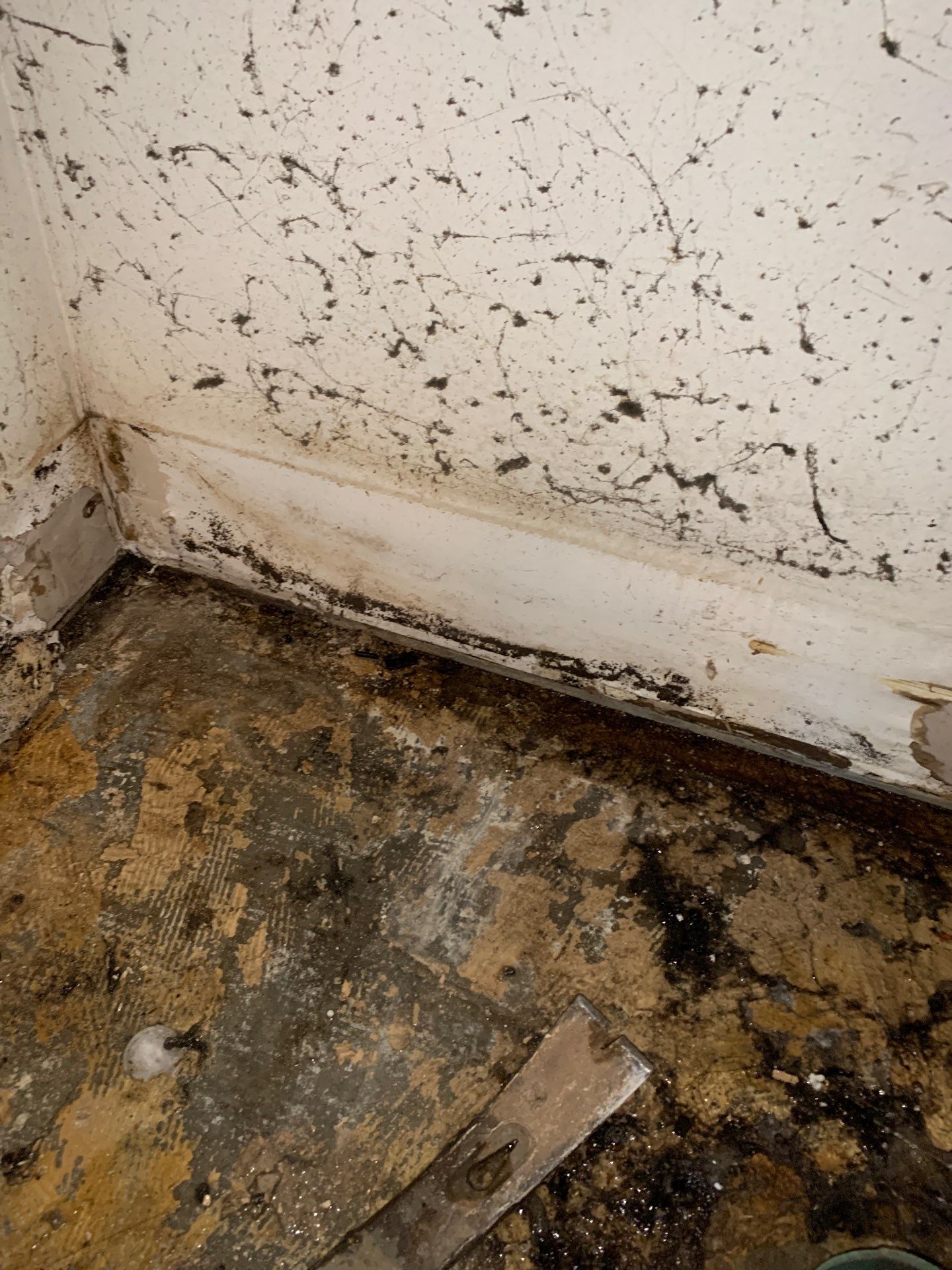 Emergency Water Loss Restoration by EAS Environmental, LLC.