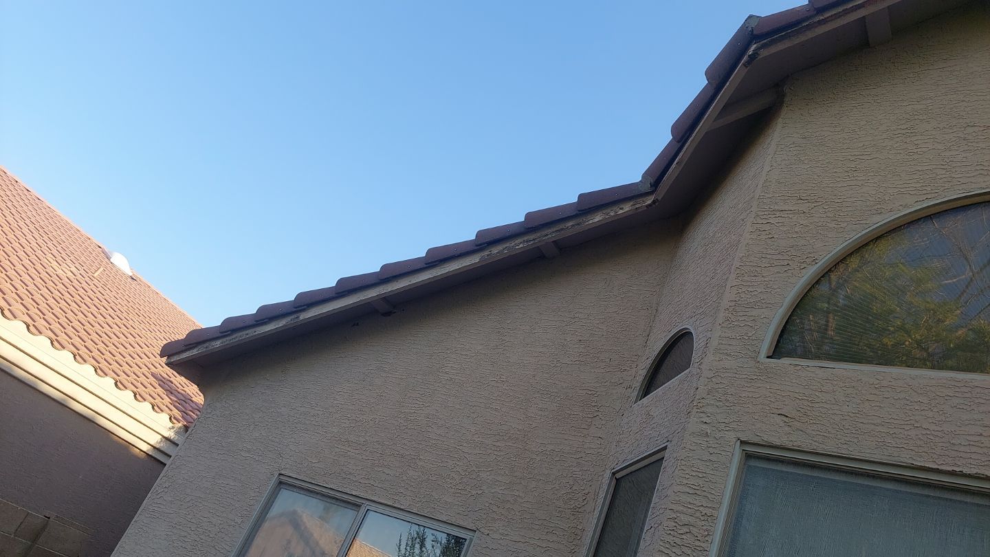 Exterior Painting - Gilbert by Crash of Rhinos Painting & Garage Floors