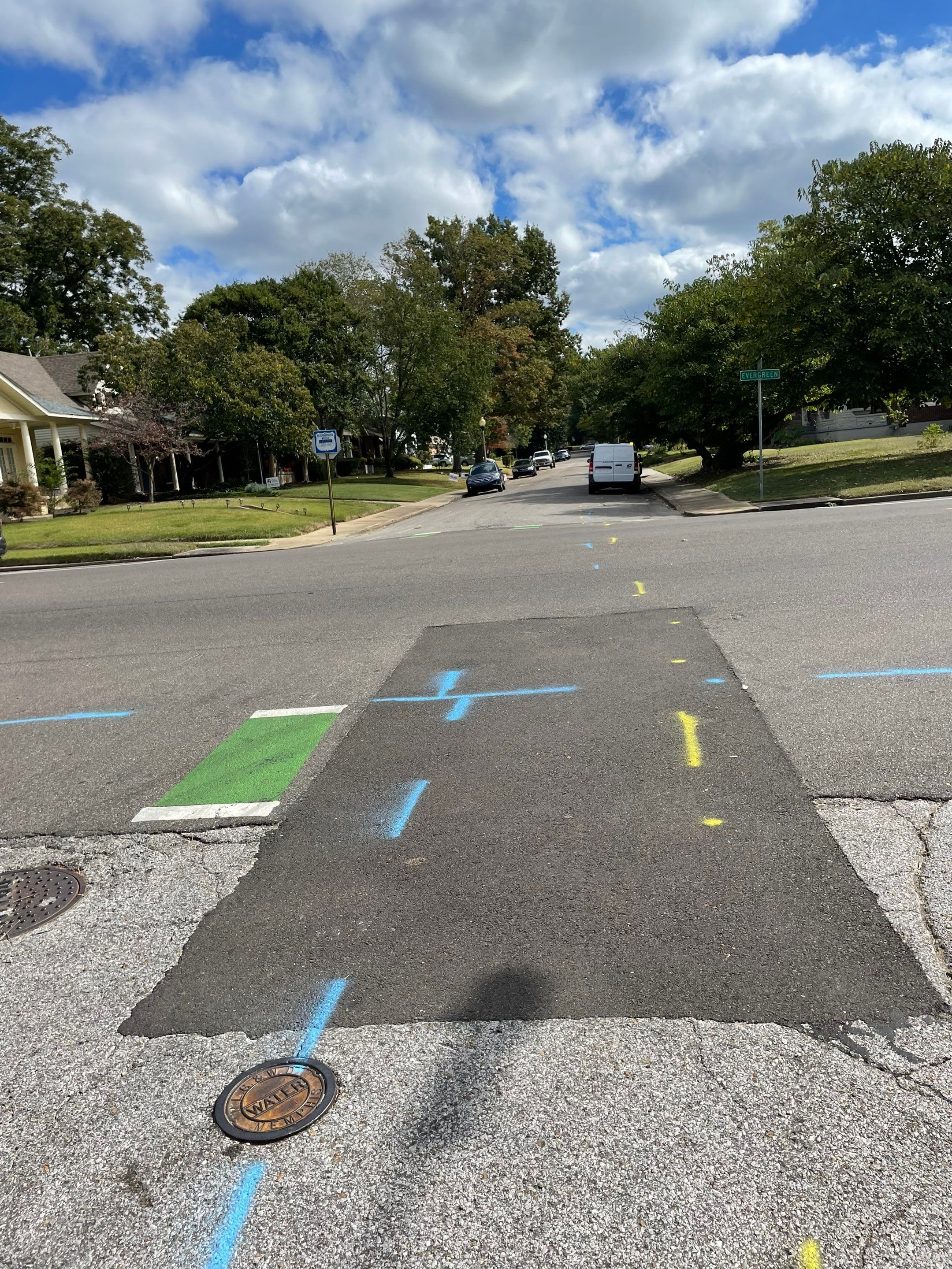 Utility Locate for Survey Purposes by Alsip Locating Service, LLC