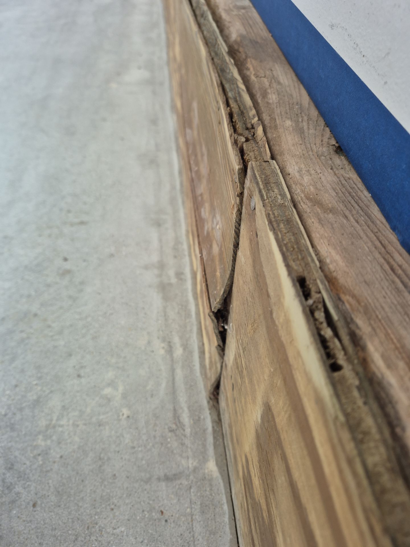 Cabin Fever  by Wise Coatings of Central Michigan