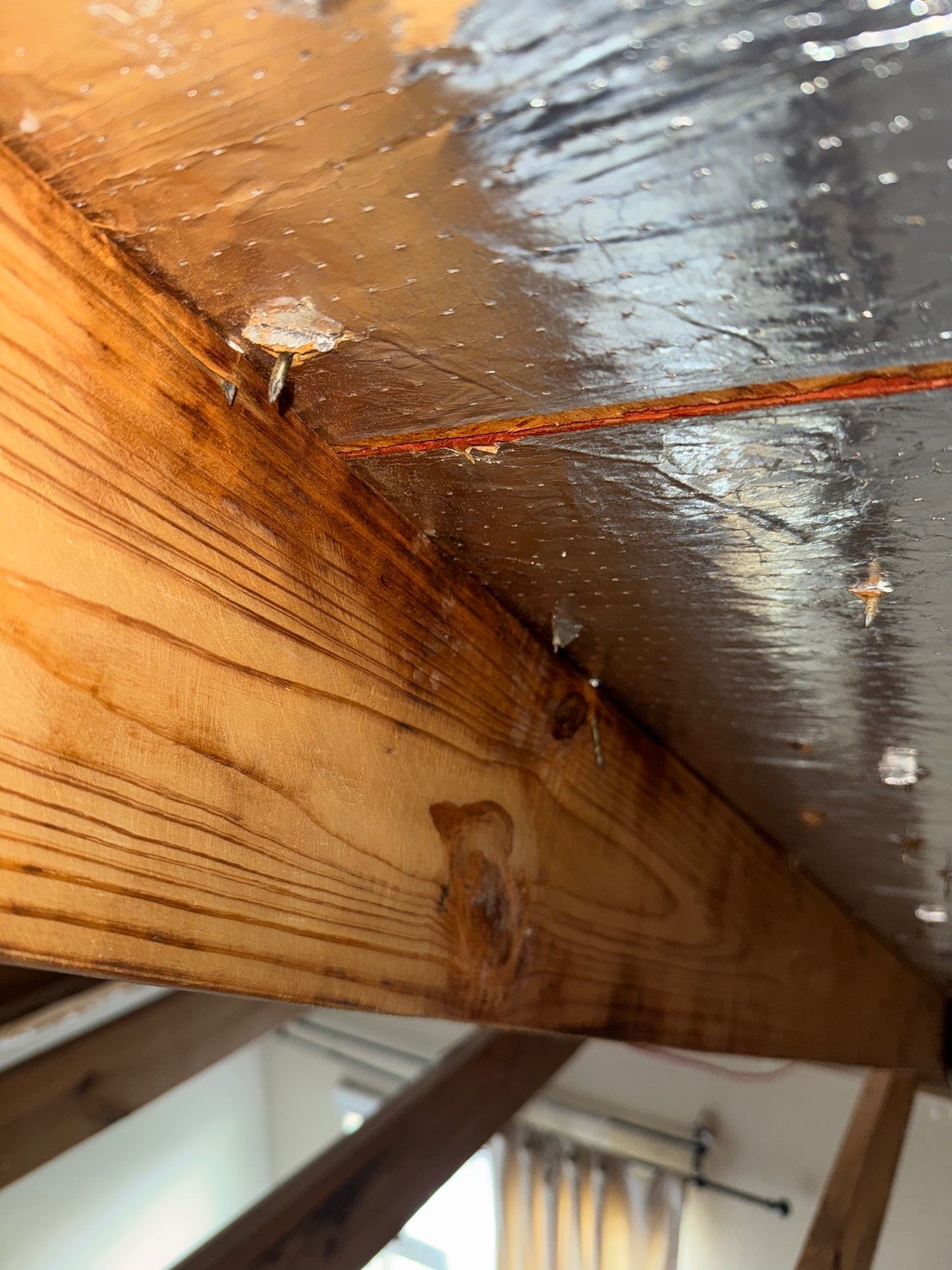 Mold Remediation Job in Katy by Team Home Solutions