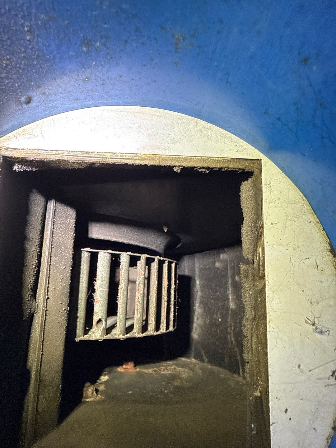 Rehoboth Beach VFW Indoor Air Restoration & Basement Mold Remediation by Healthy Home Solutions