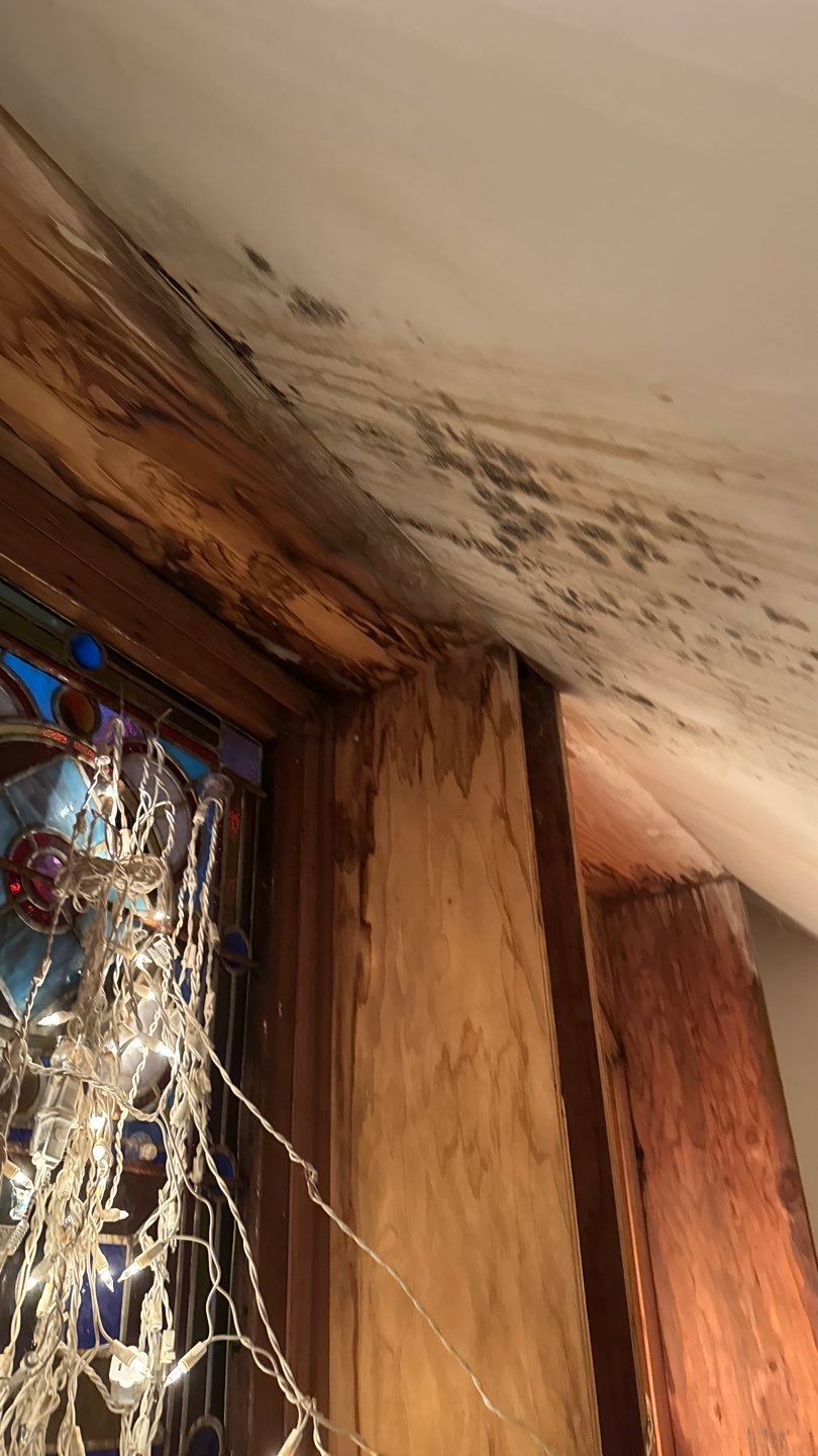 Project in Grass Valley by NuLead Construction Inc