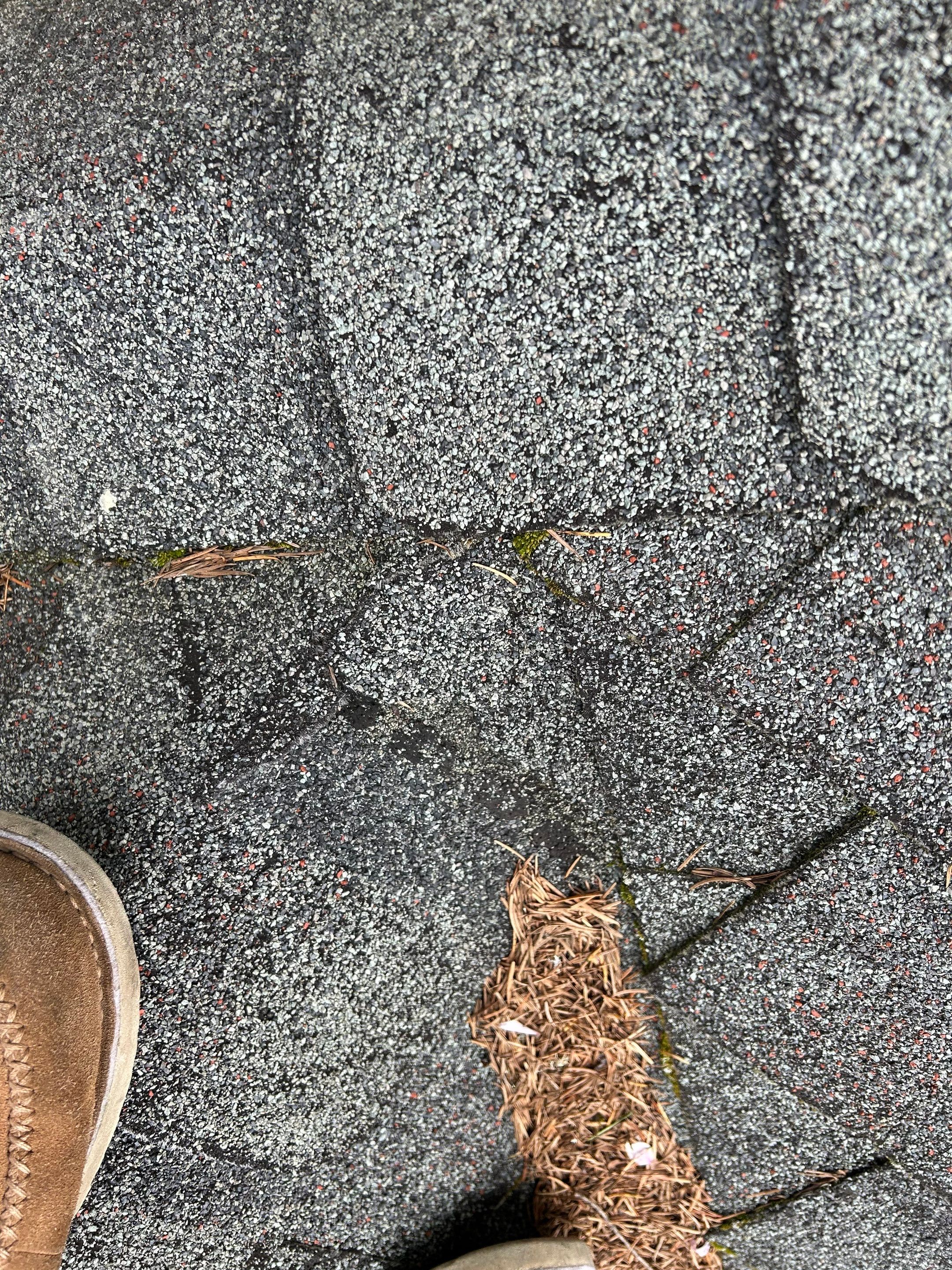 Project in Redmond by Peaks and Valleys Construction
