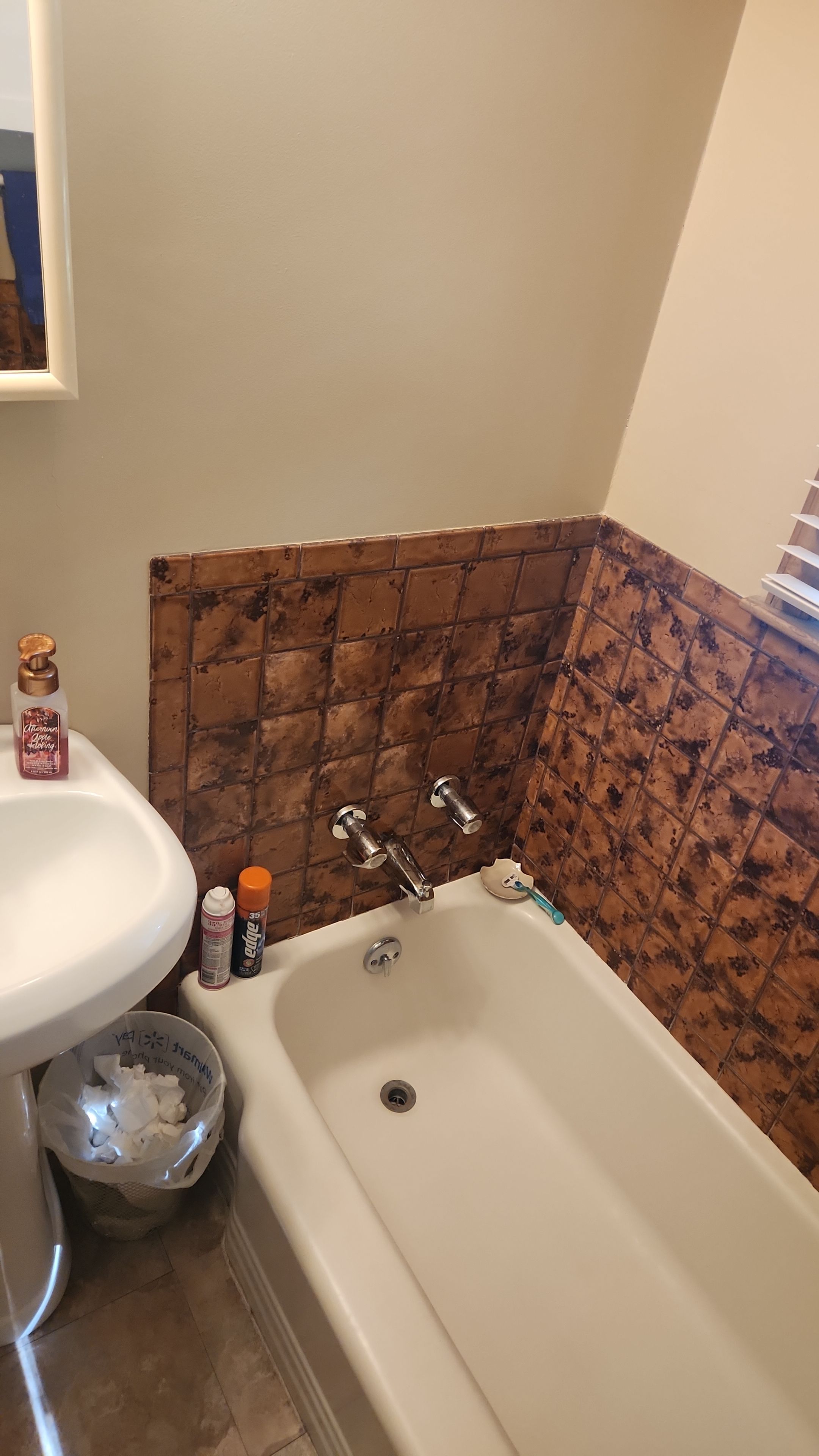 Tiny Bathroom Remodel by The Shower Company
