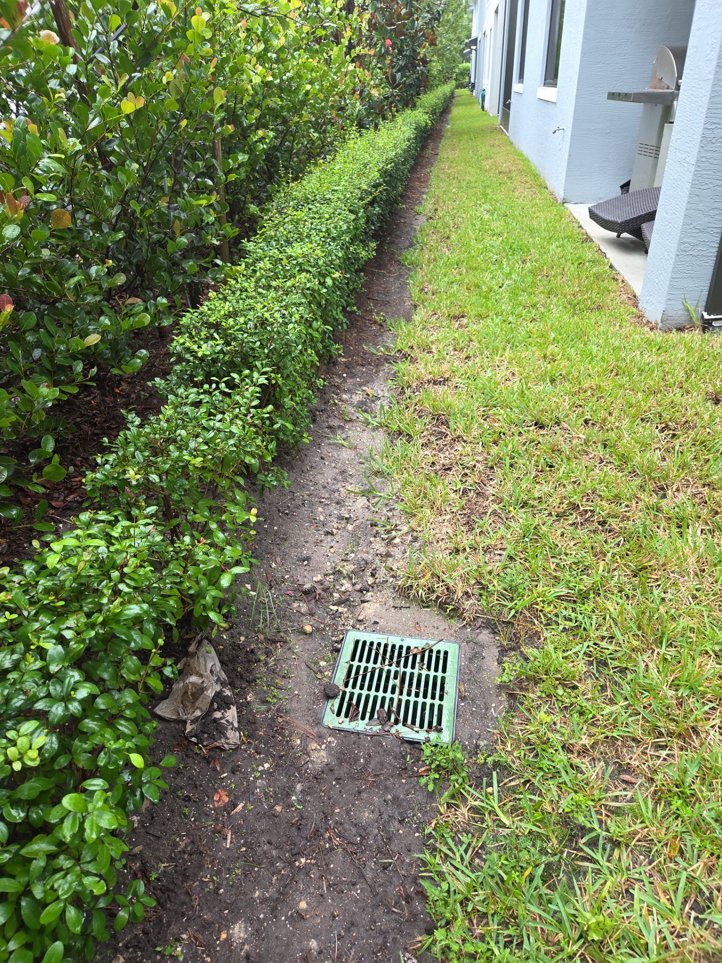 🌿 Magnolia Ridge | Drainage & Site Enhancement  📍 Palm City, Florida by Alpha Zeta Enterprises Inc