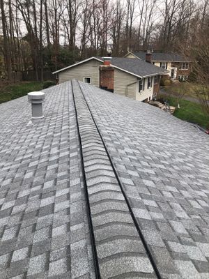 Springfield CertainTeed Landmark Pro Roof in Max Def Pewter