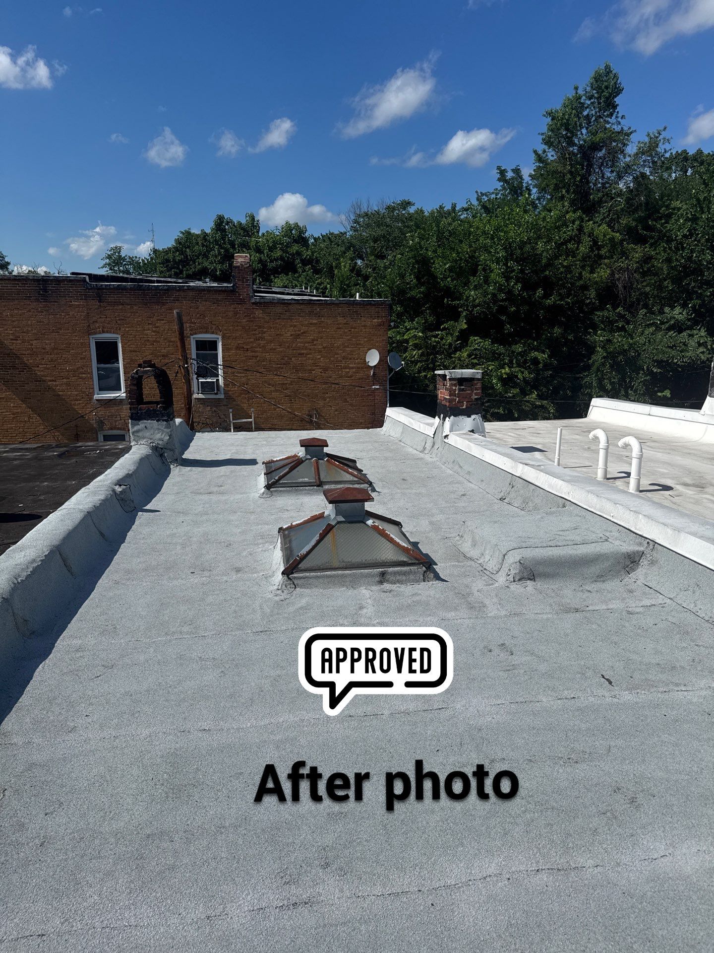 New Flat Roof by Alpha Design Services