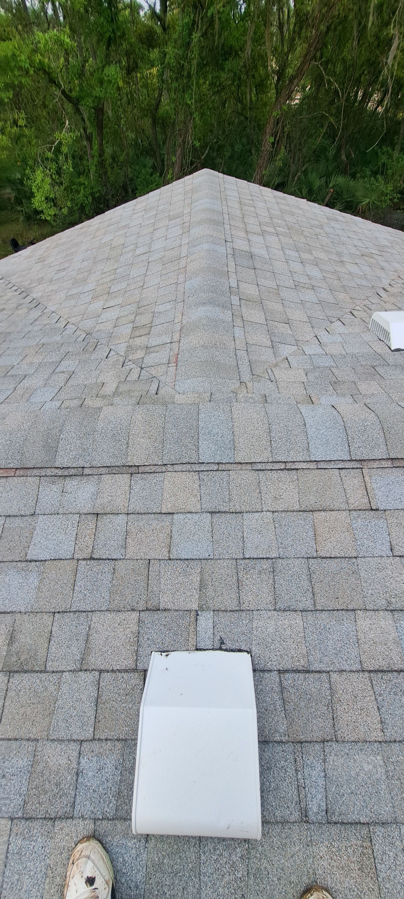 Shingle Reroof Replacement Deland FL by Pinnacle Roofing Group