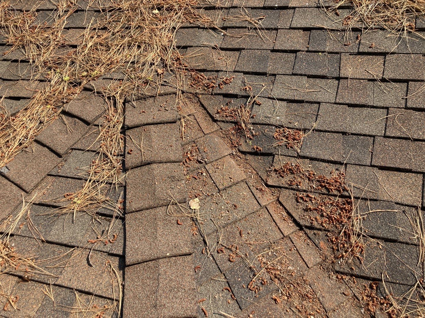 Two story new build gets a CertainTeed Landmark roof in Shenandoah  by ID Roofing LLC