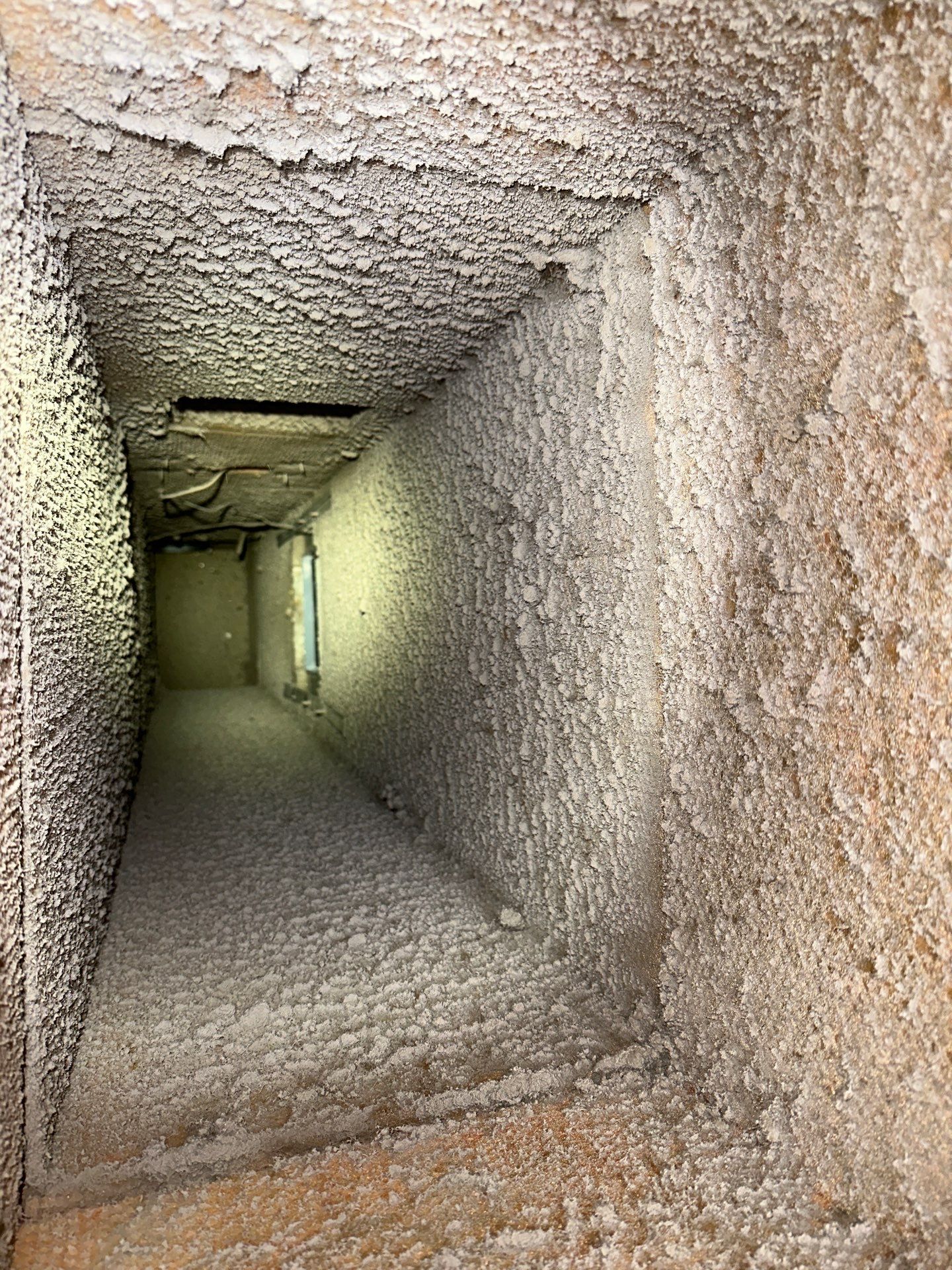 Air duct cleaning and Dryer Vent Cleaning by Pronto Air Duct Cleaning