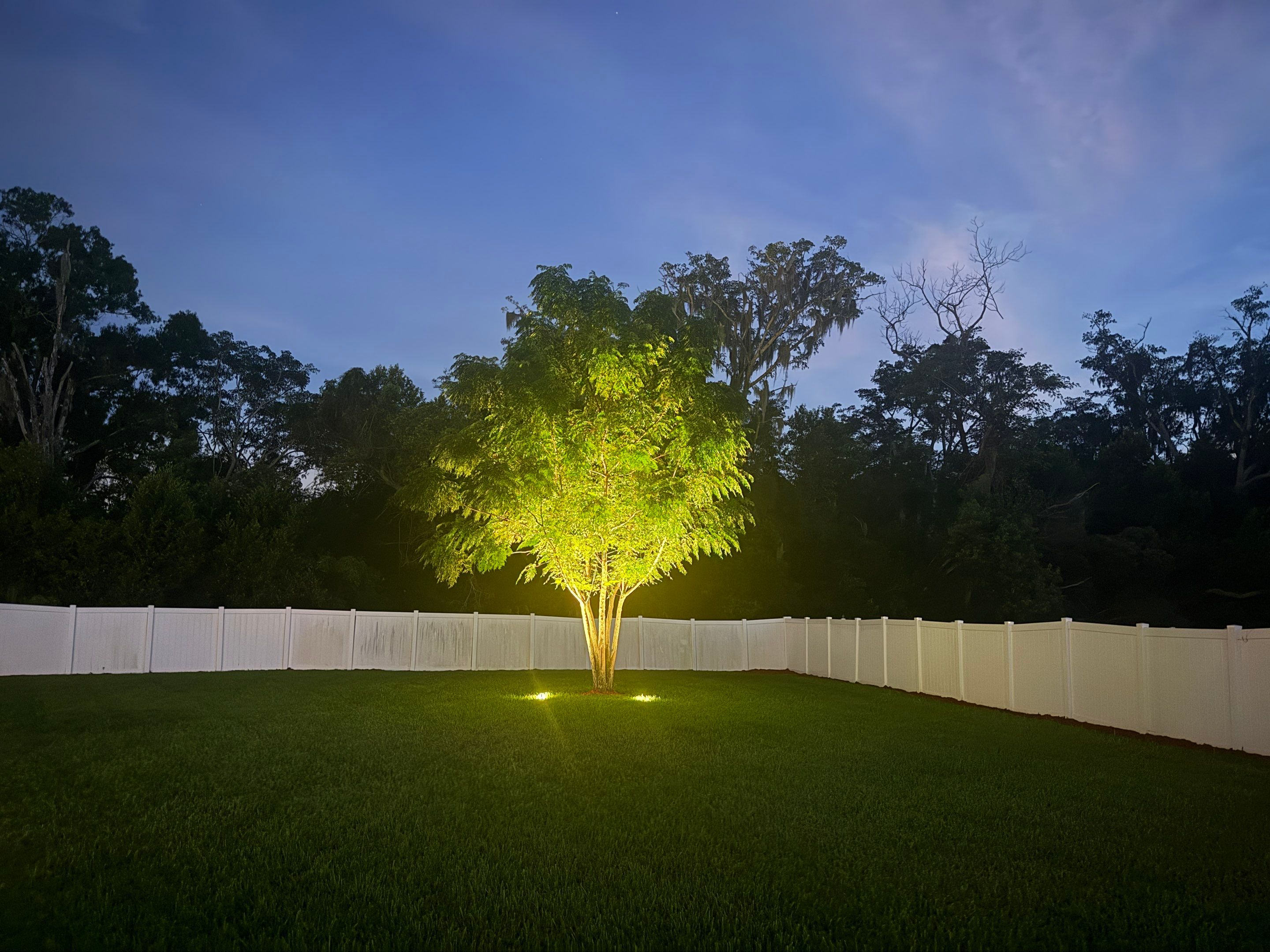 Custom Outdoor Landscape and Paver Lighting for Lutz Residential Estate by Elegant Accents