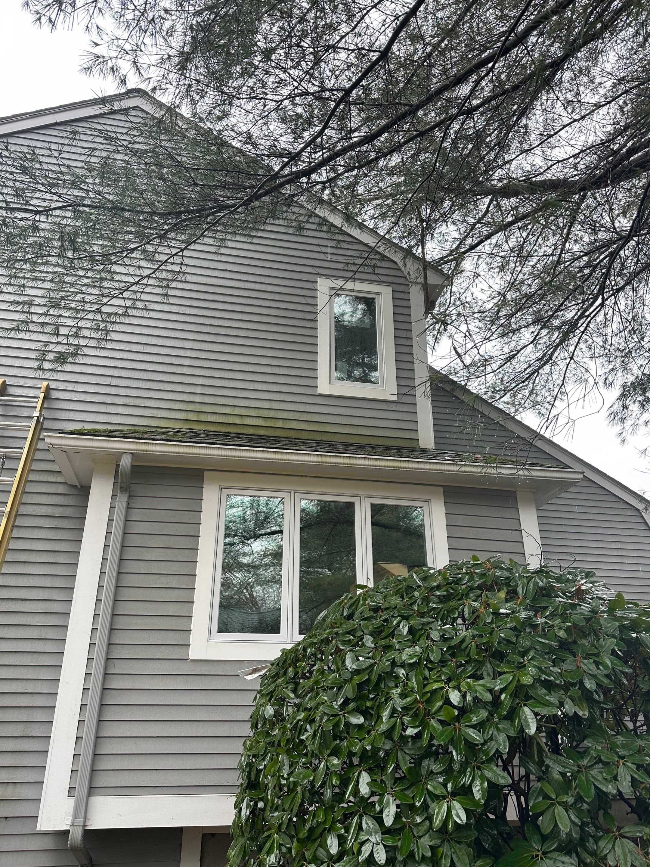 Whole house window replacement in Framingham, MA by UBrothers Construction
