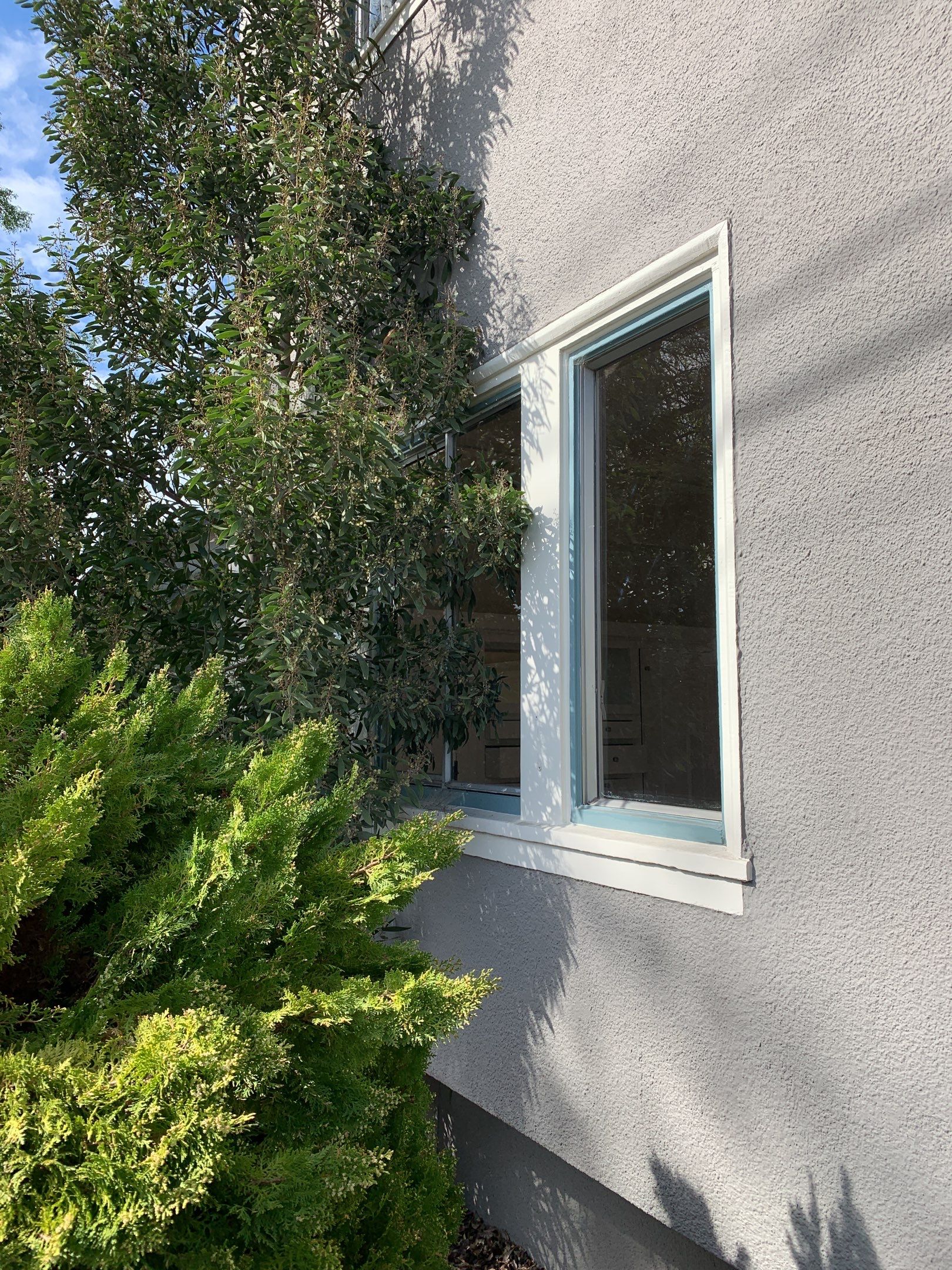 Bloom Team — 6005 Hillegas Ave by SpotFree Window Cleaning