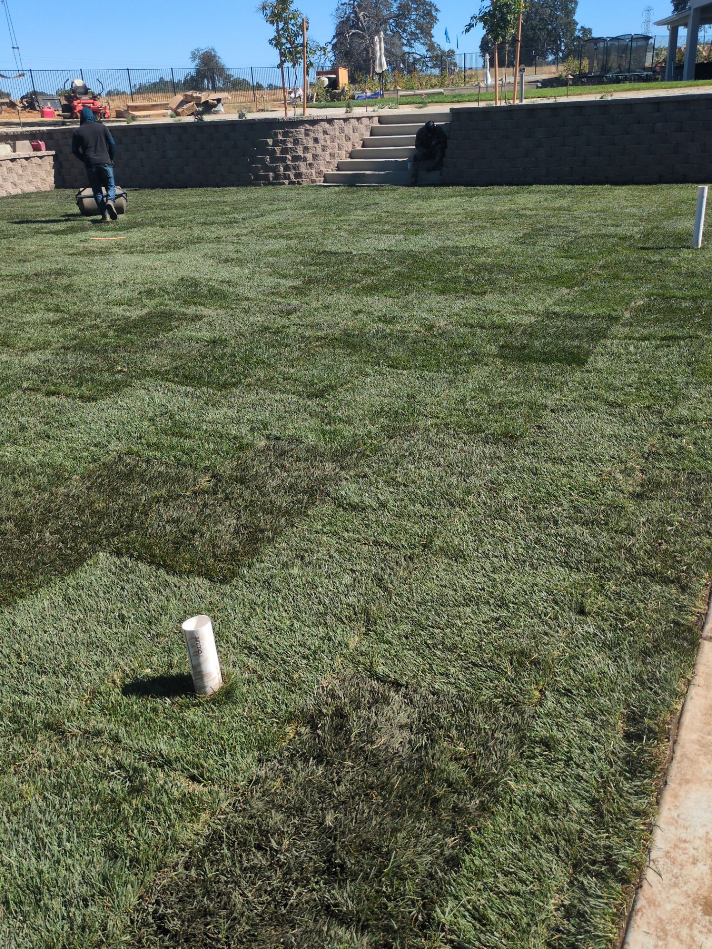 Project in Cameron Park by A - G Sod Farms