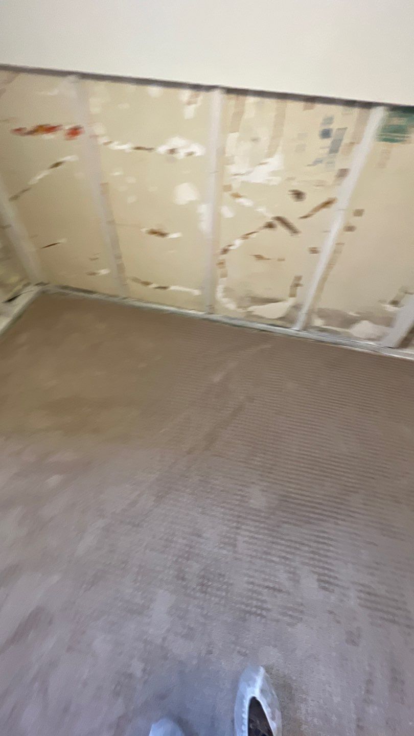 Mold Remediation by Accountable Home Services