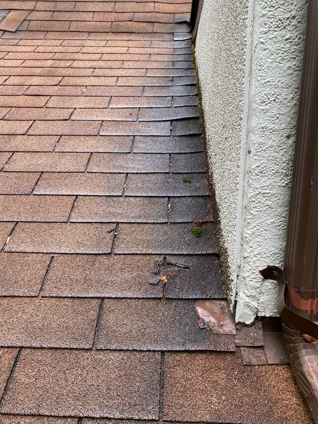 Arlington: CertainTeed Landmark Pro Designer Shingles in Max Def Shenandoah by RM Banning, Inc.