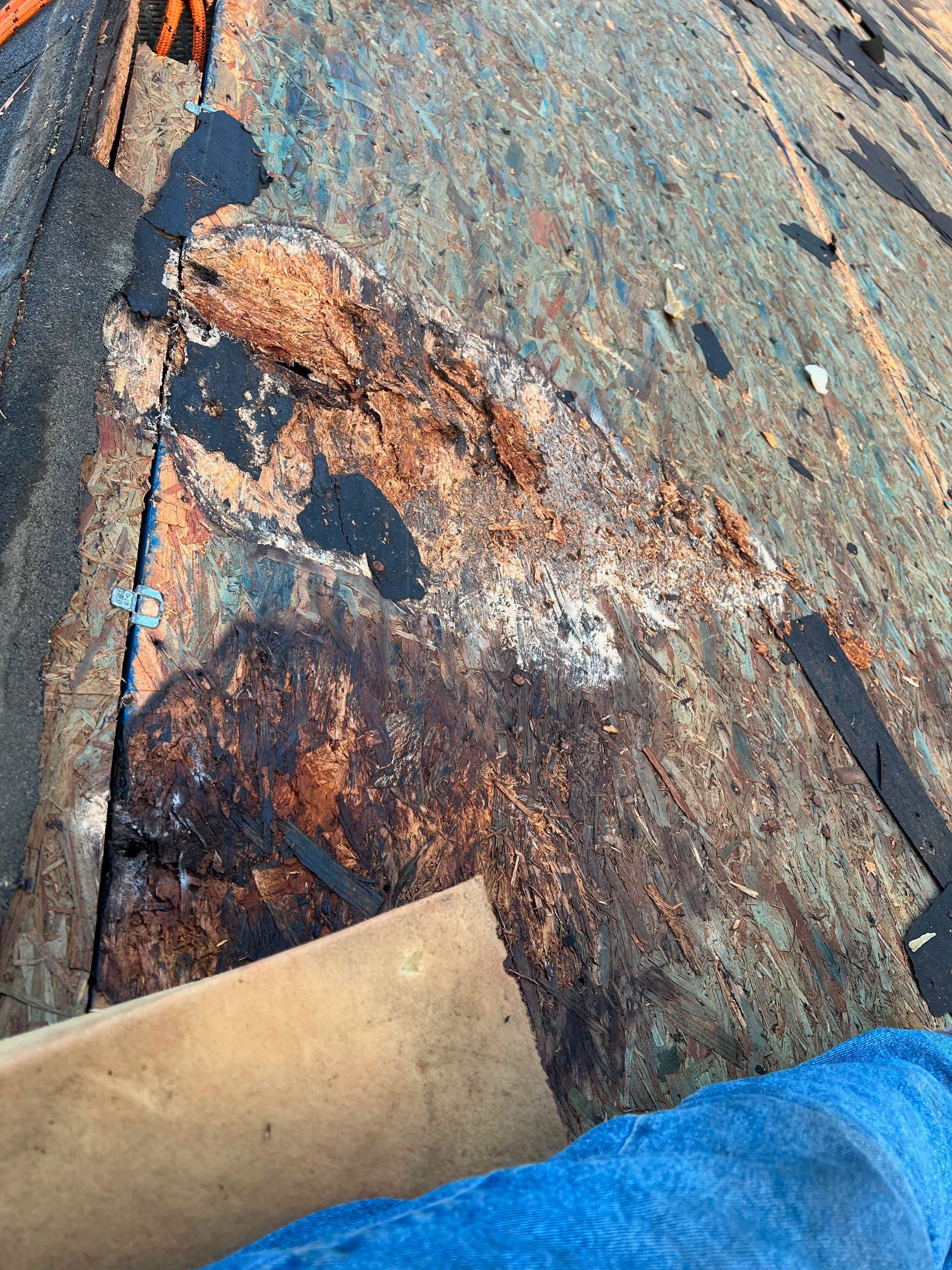 Architectural Shingle Roof Replacement with New Skylights in Woodstock by Mosaic Roofing Company