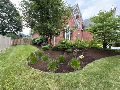 Rob M. - Arlington Heights, IL