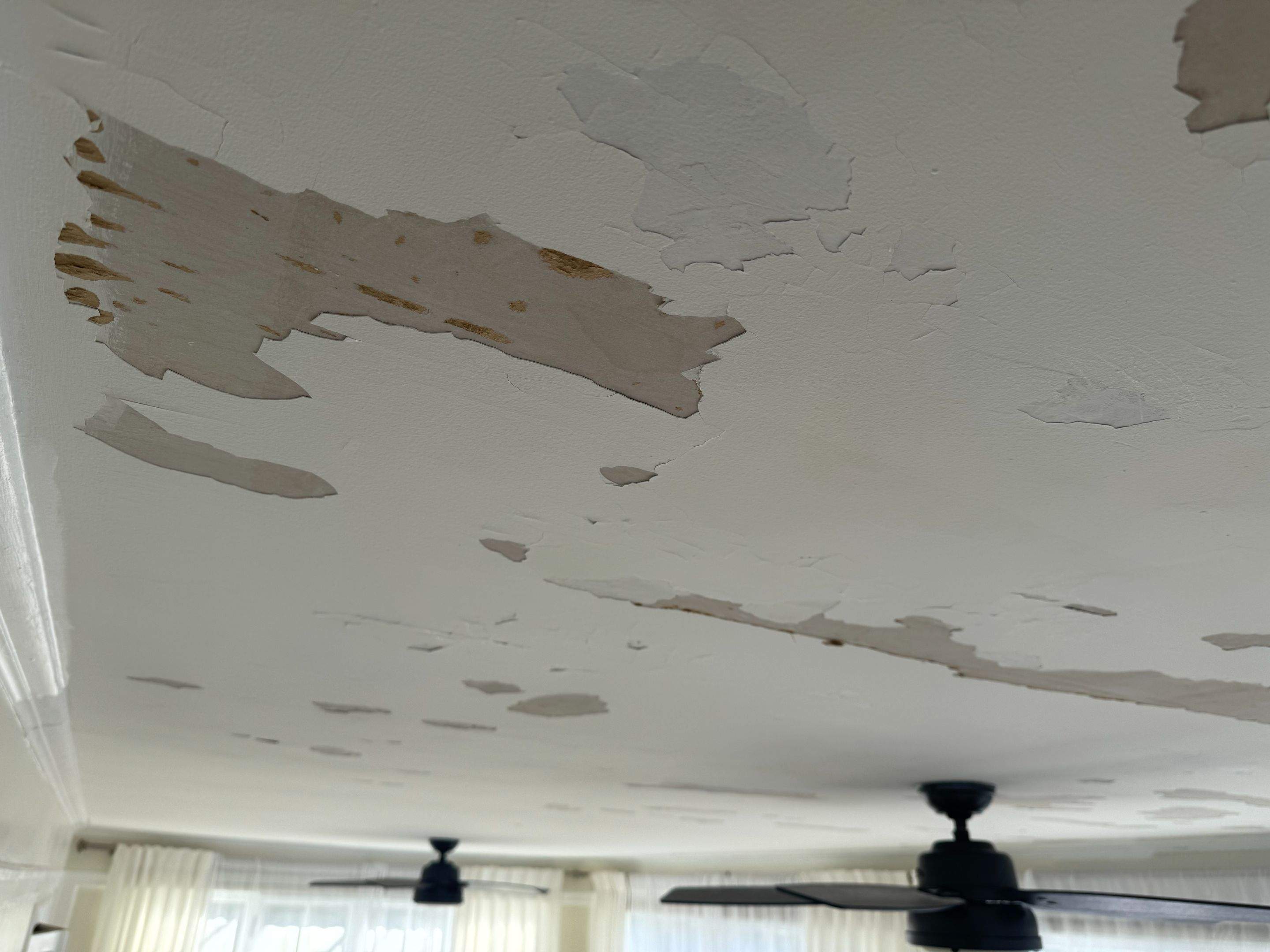Ceiling Repair by Big Pine Panting Inc