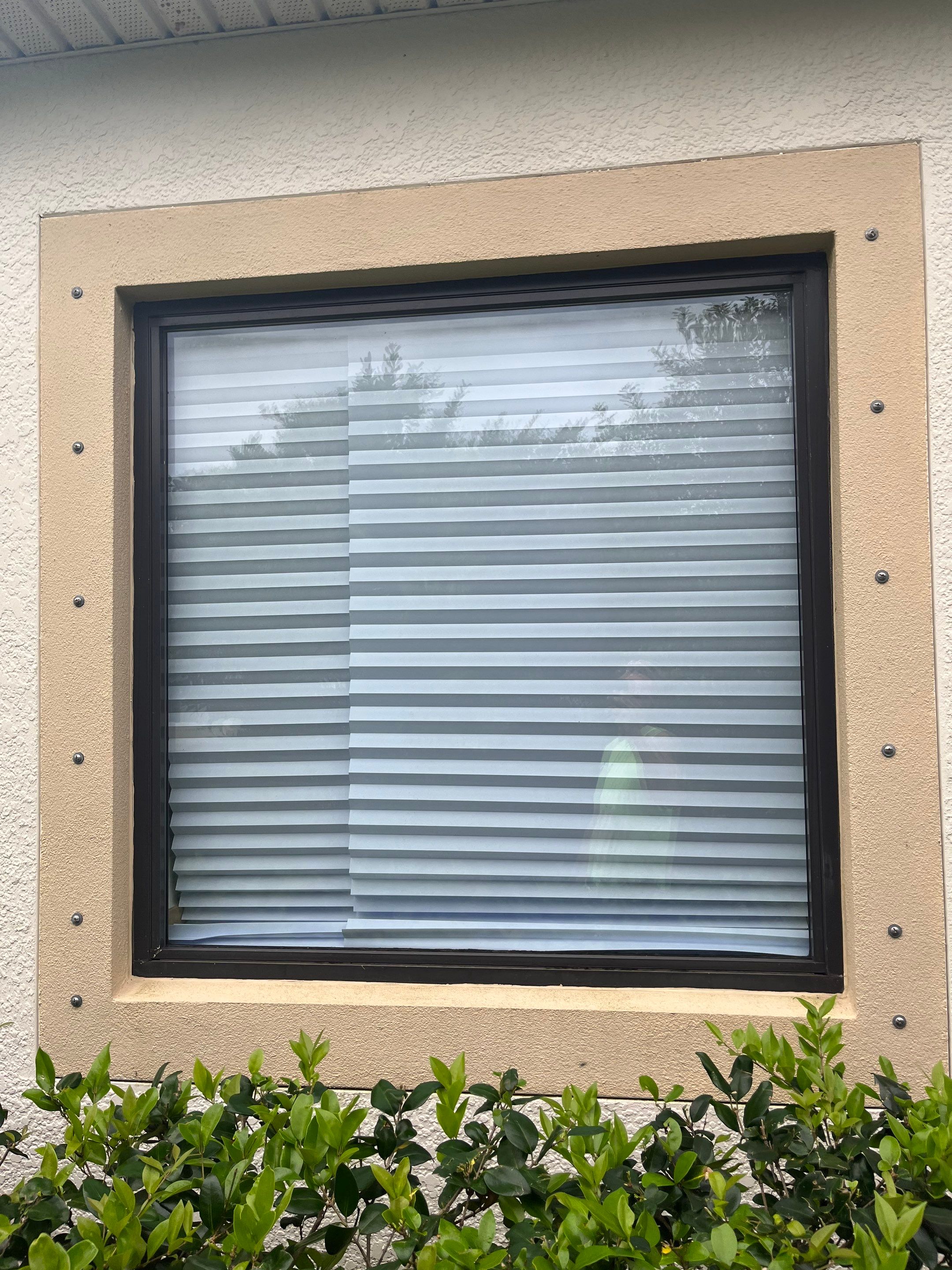 Bronze Single Hungs & PW's by NewSouth Window Jacksonville