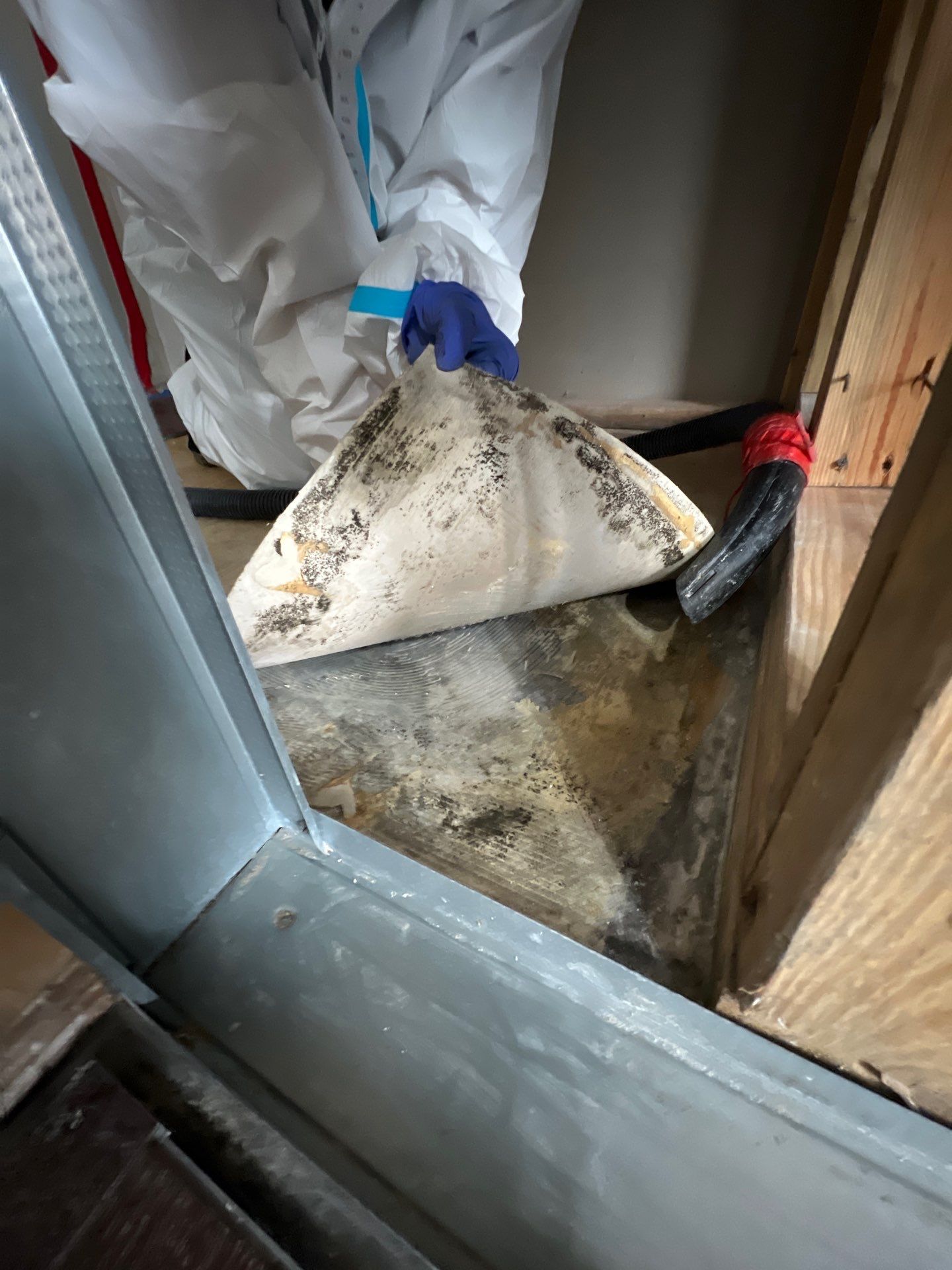 Stansell - water and mold photos  by THE RAPID TEAM