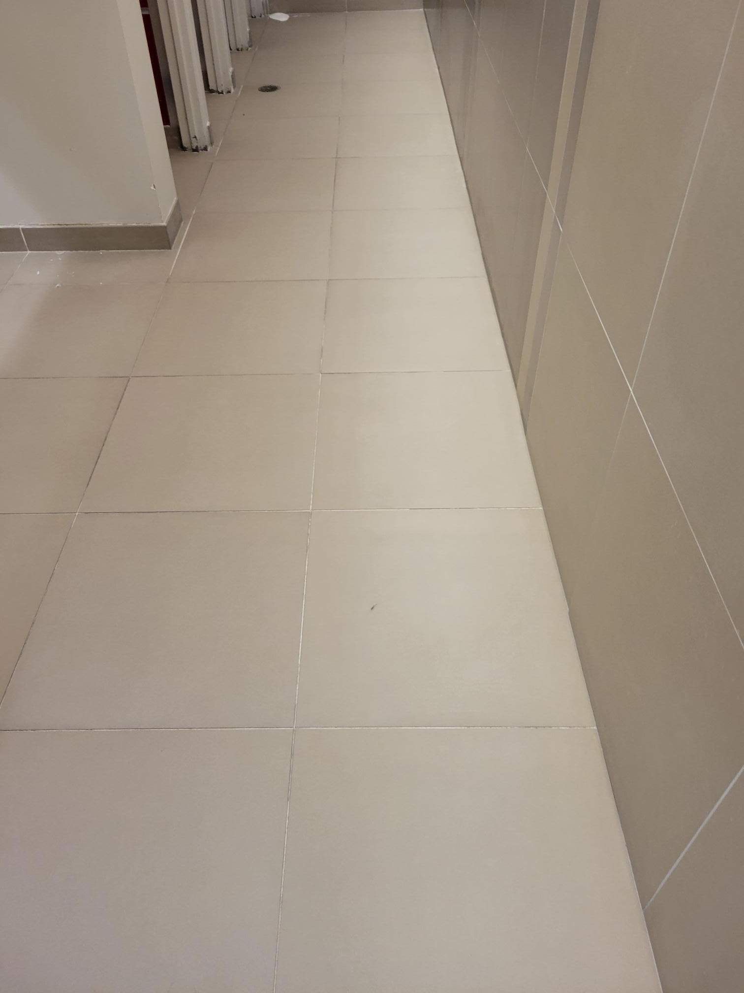 SaniGlaze Removal and reconditioning using CareGuard by Corporate Care