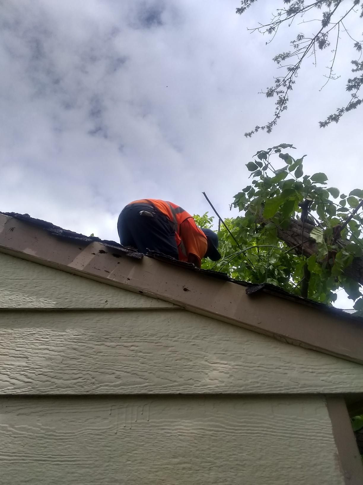 Tree Removal using Tree Removal by Mike Jones & Sons Tree Service LLC 