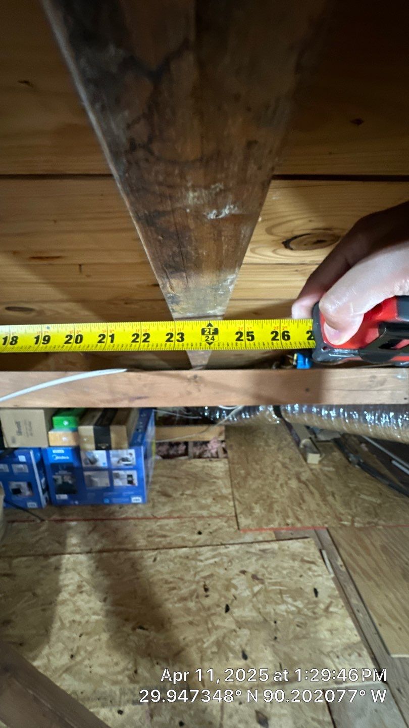 Project in New Orleans