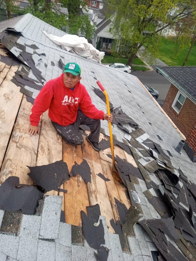 Silver Birch Shingles by Reimagine Roofing