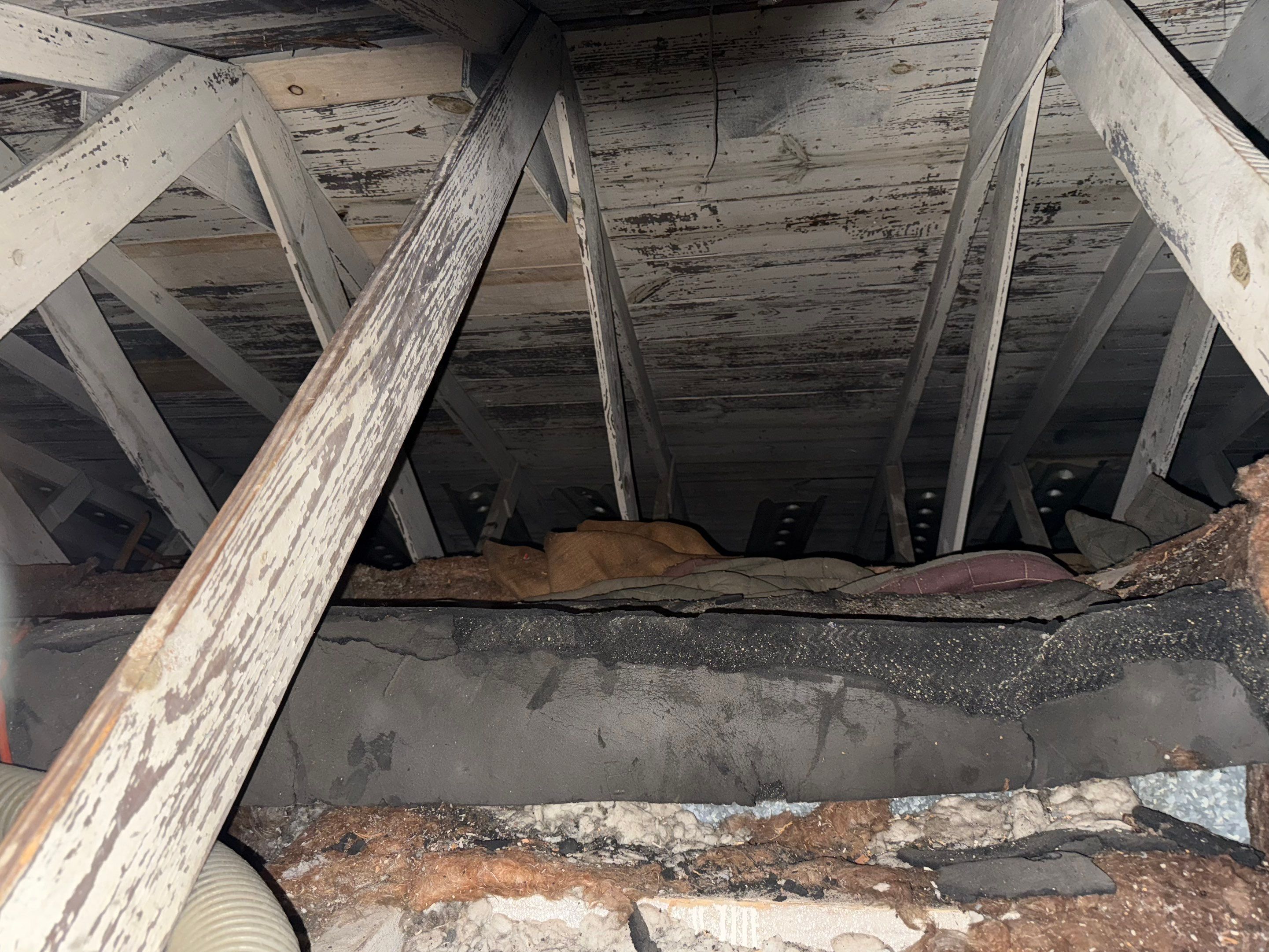 Roof Replacement using Owens Corning Summer Harvest by 180 Contractors