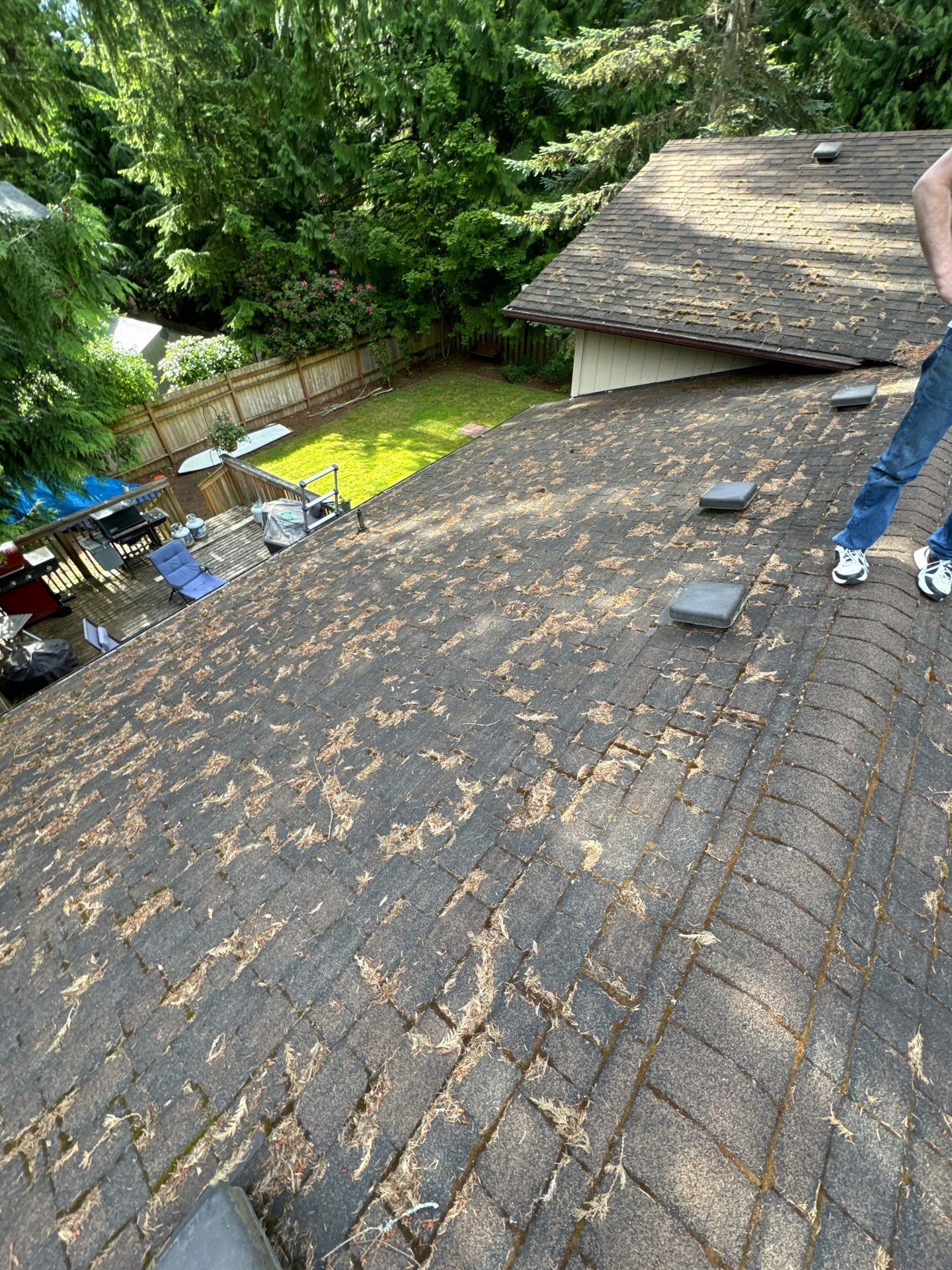Project in Edmonds by Peaks and Valleys Construction