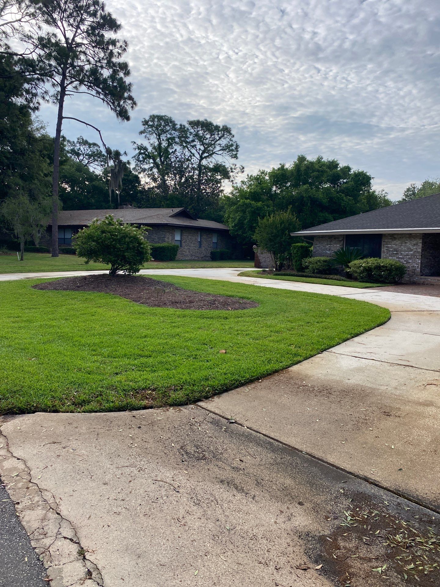 Deerwood Resident | Sod & Landscape Install by ProGreen Services