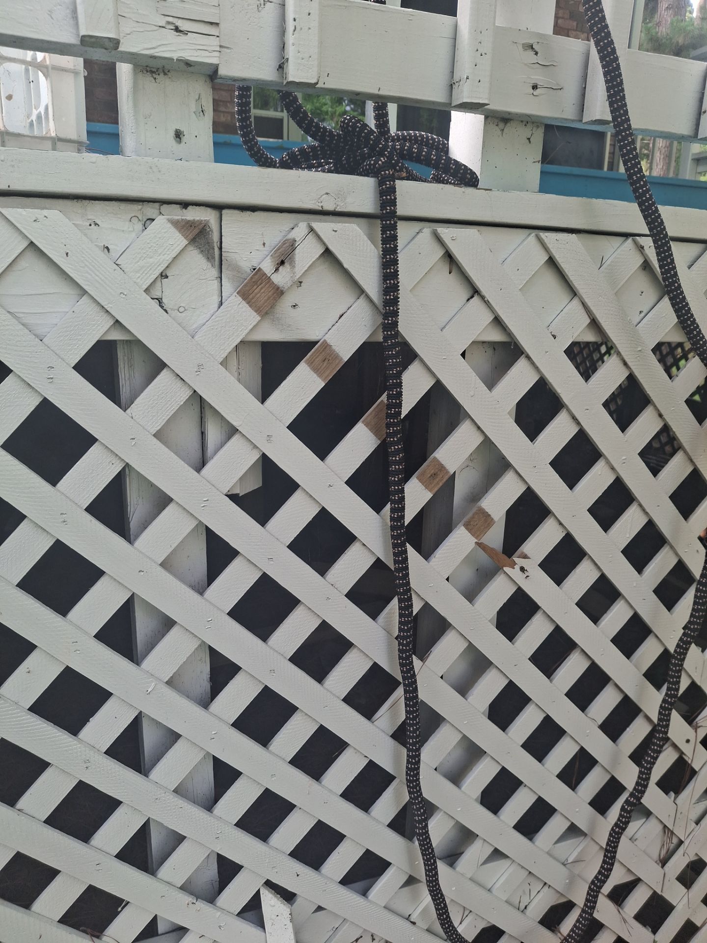Vibrant Deck Gets New Life in Flint Texas by Quality Coats Painting