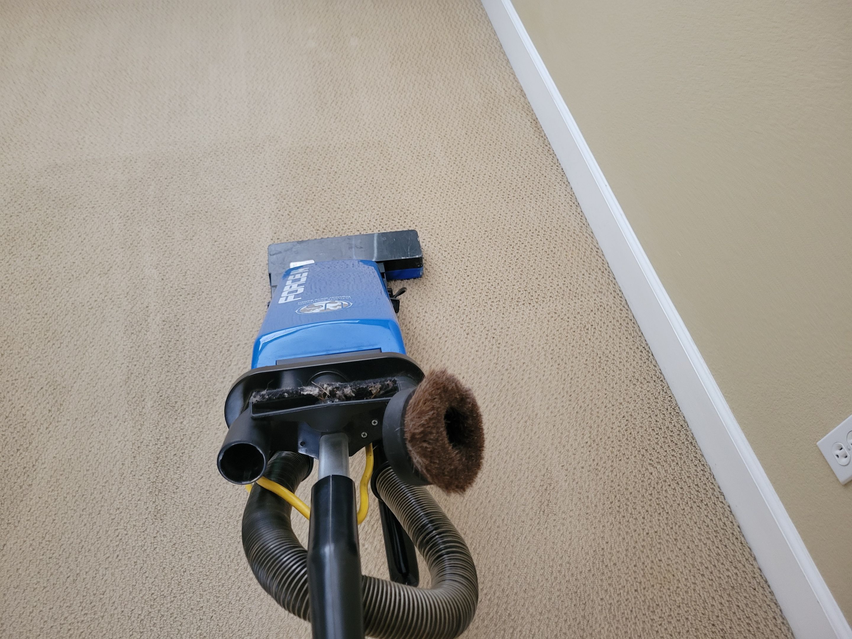 Looped-pile Carpet Cleaning by Ardent Carpet Restore LLC
