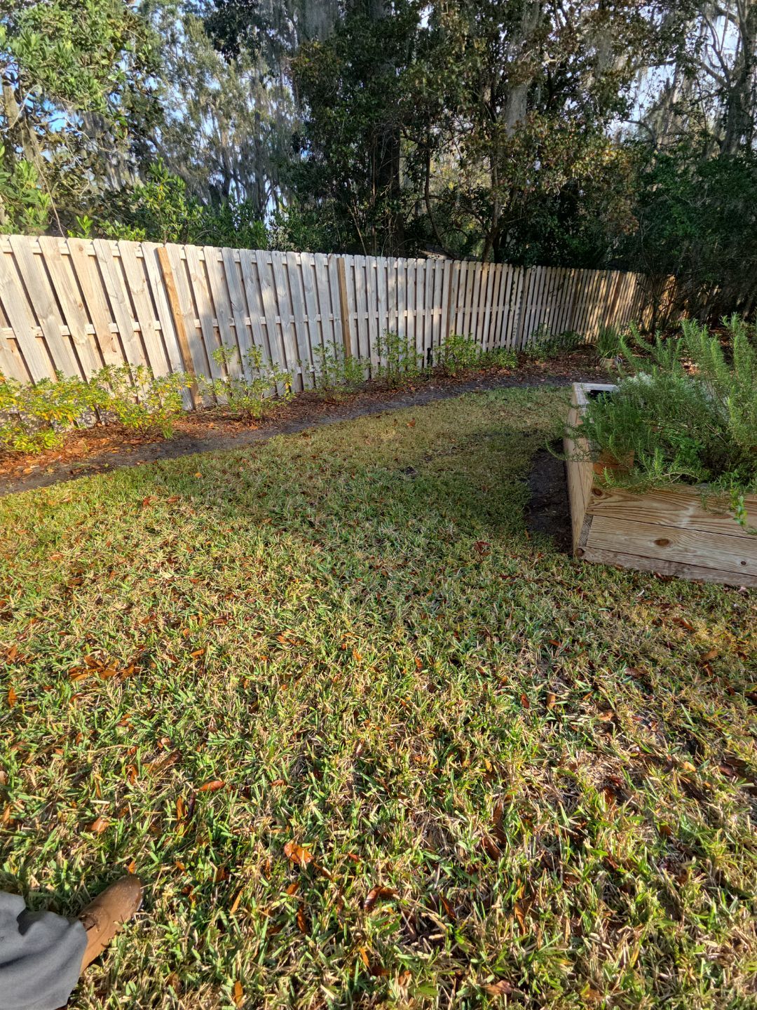 Deerwood Resident | Freshen Up Project by ProGreen Services