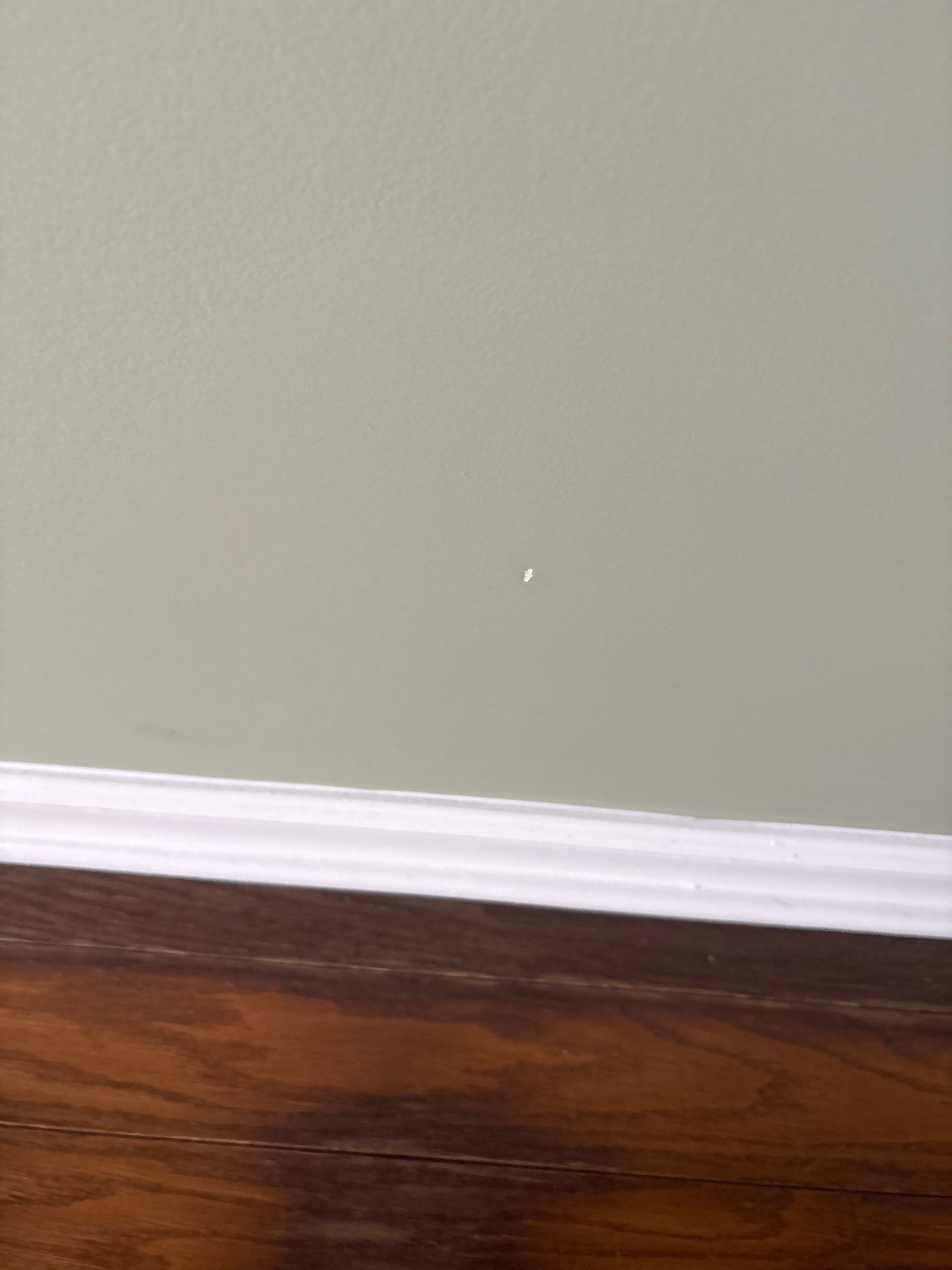 Transformation Complete for Paul & Vickie’s Home by Pathway Home Painting & Improvements