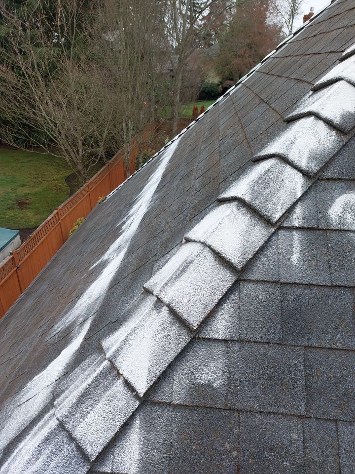 Roof Cleaning  using Moss Treatment  by BEST Roofing & Waterproofing